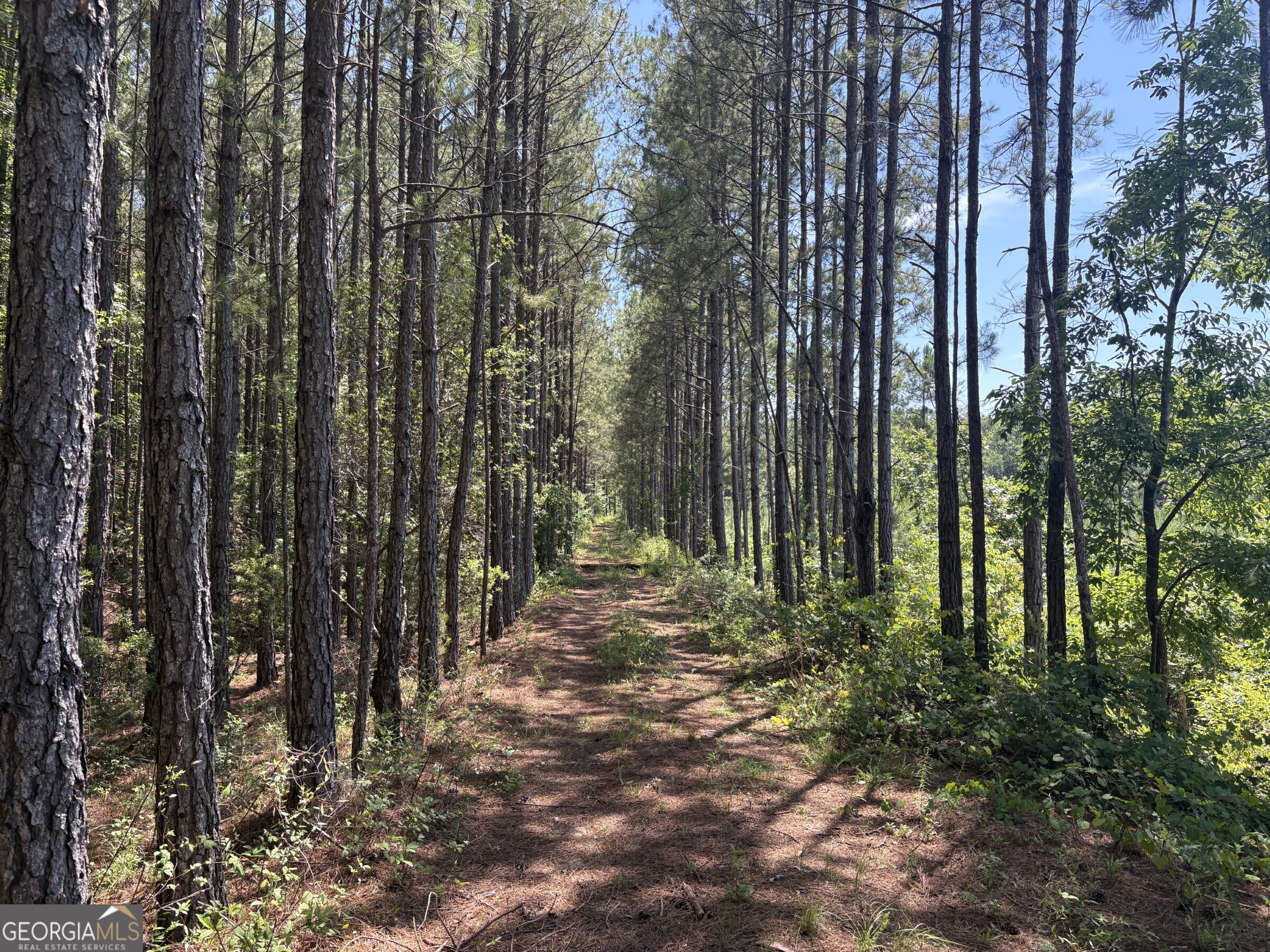 0 Wriley Road Mcintyre GA 31054