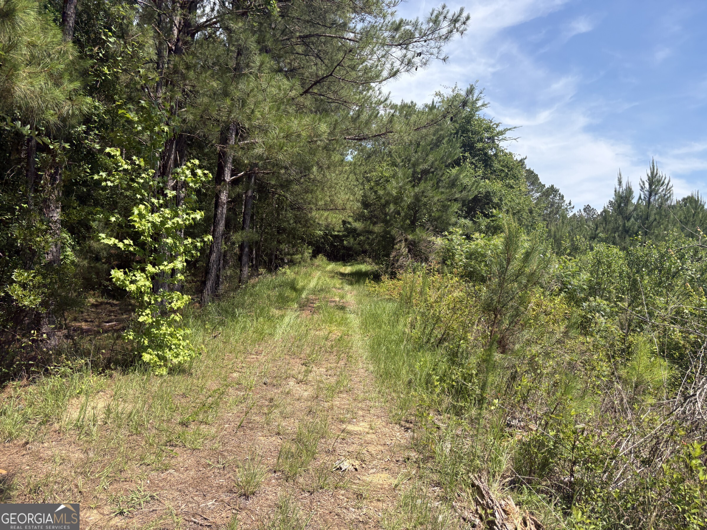 0 Wriley Road Mcintyre GA 31054