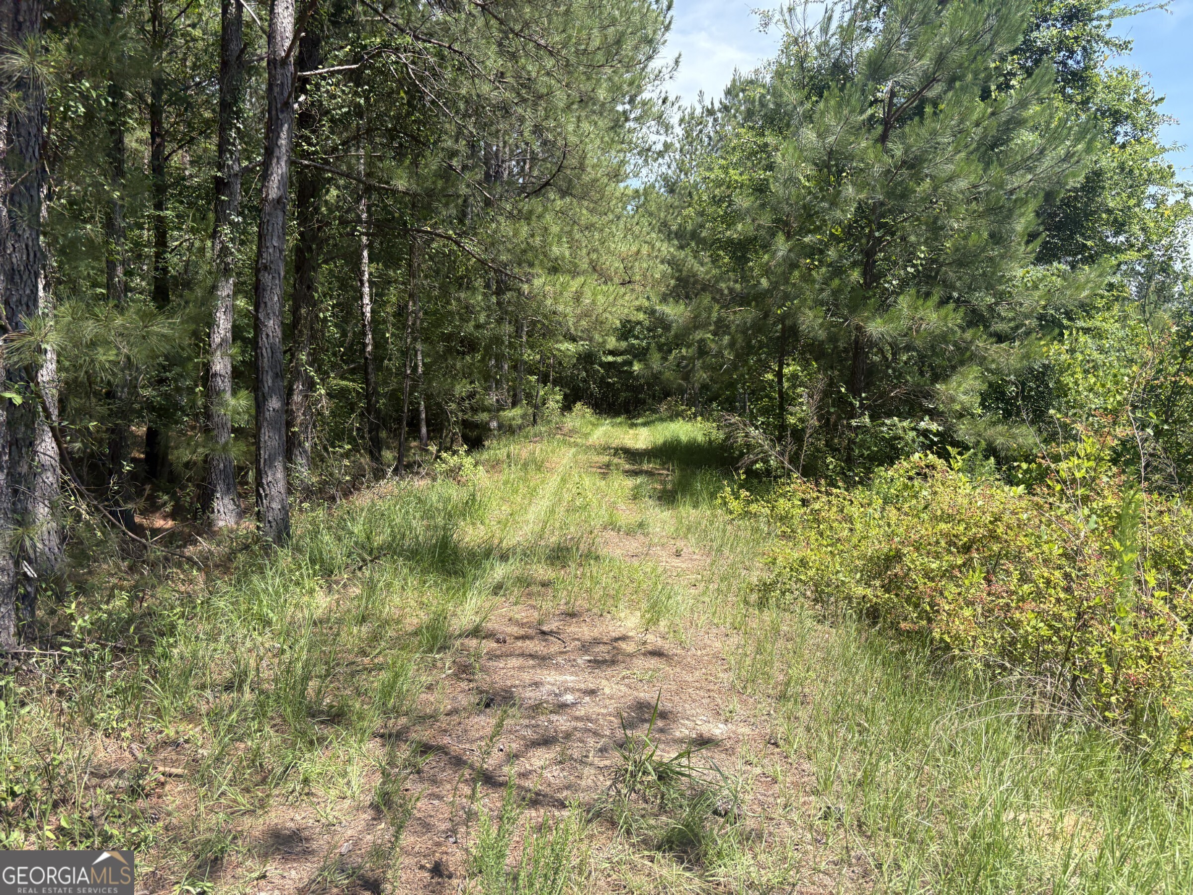 0 Wriley Road Mcintyre GA 31054