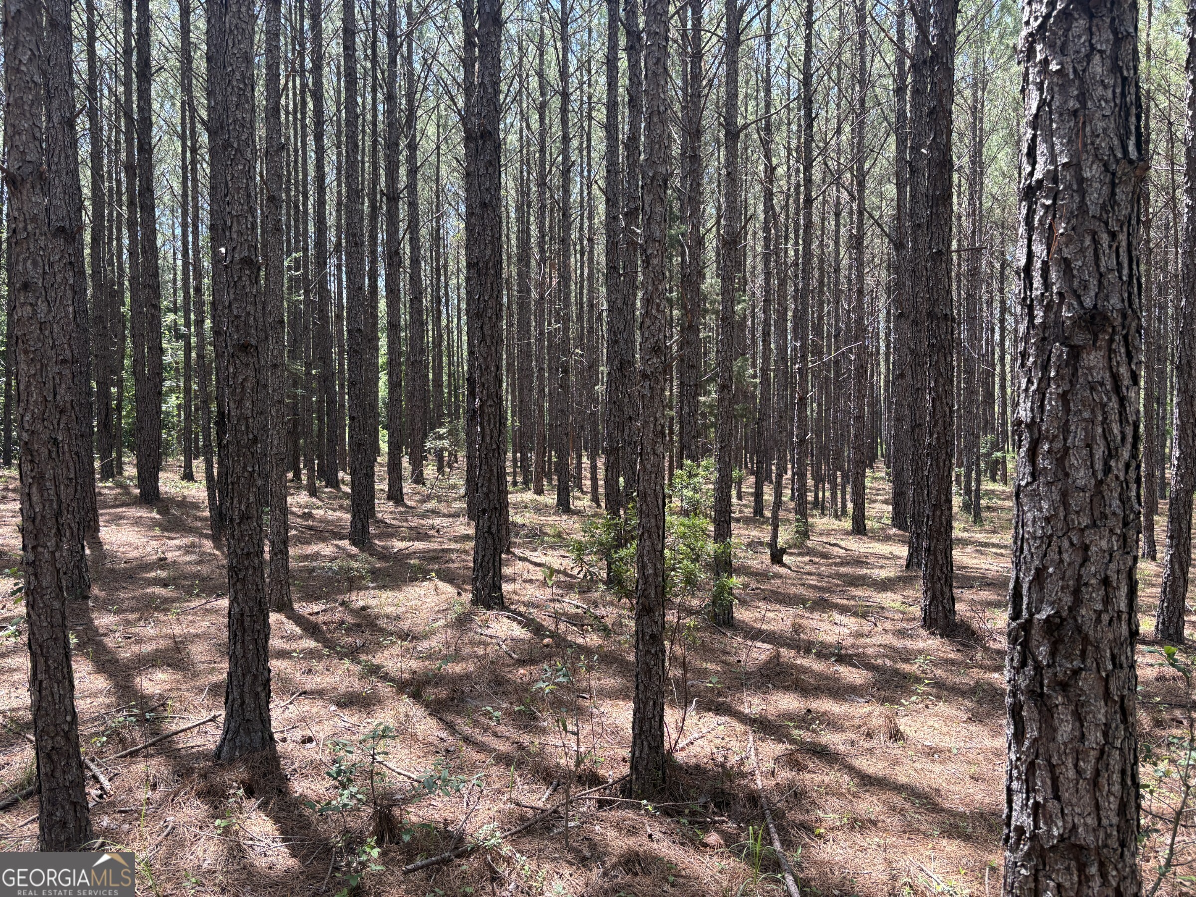 0 Wriley Road Mcintyre GA 31054