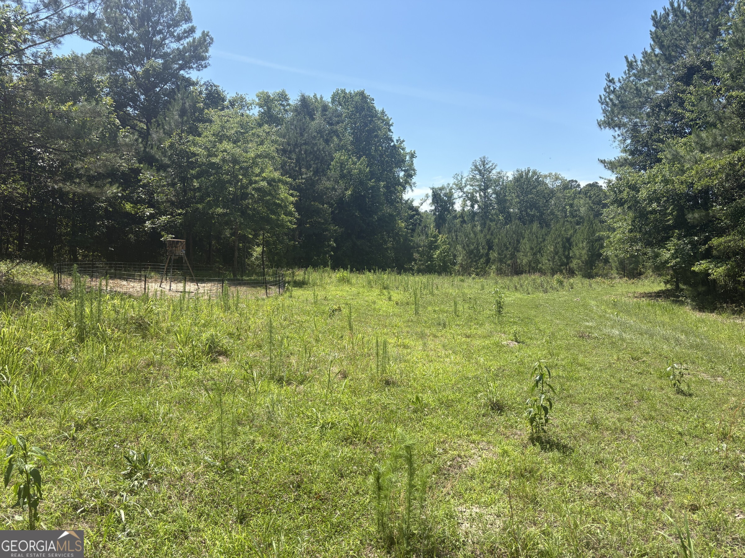 0 Wriley Road Mcintyre GA 31054