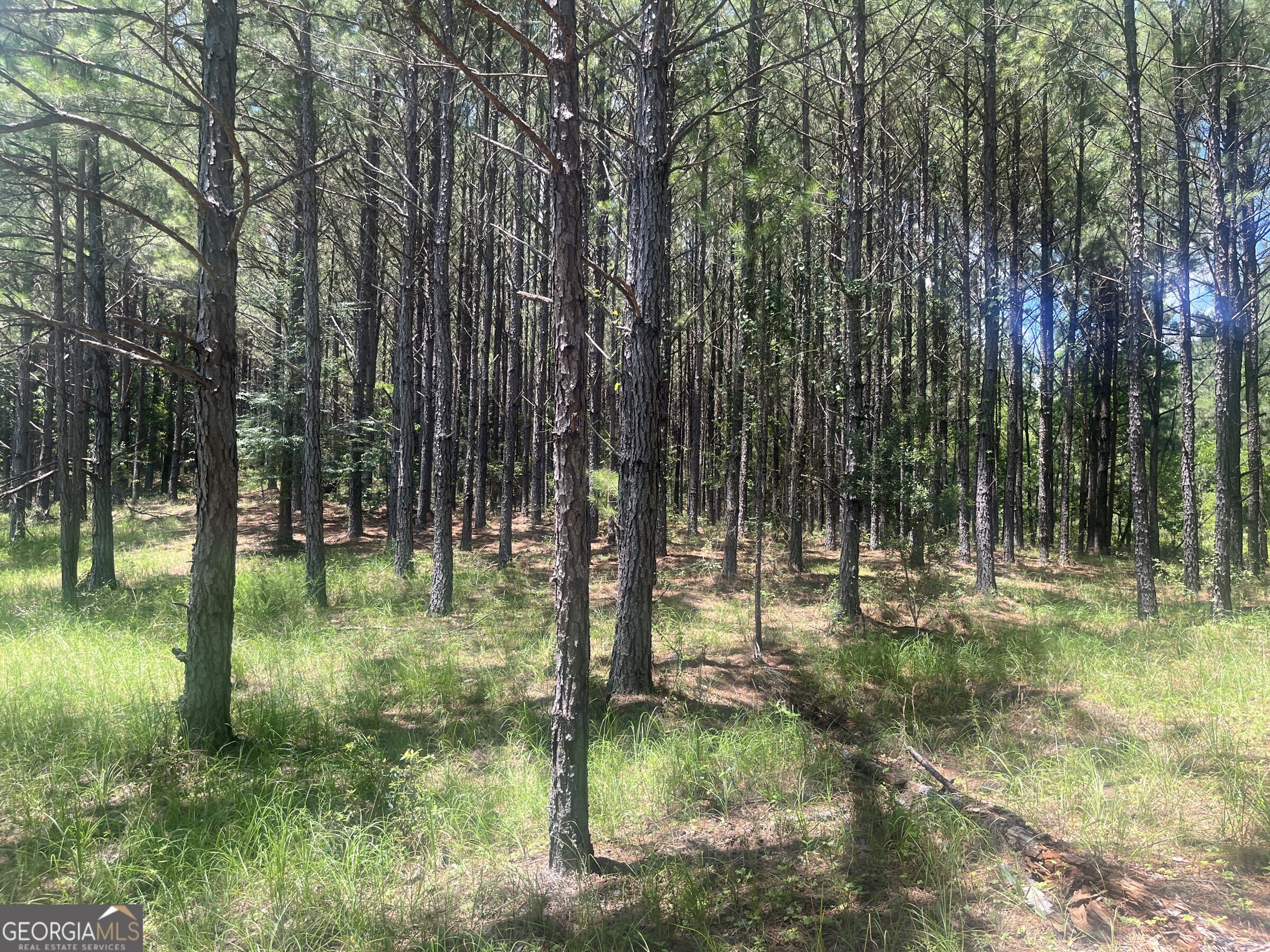 0 Wriley Road Mcintyre GA 31054