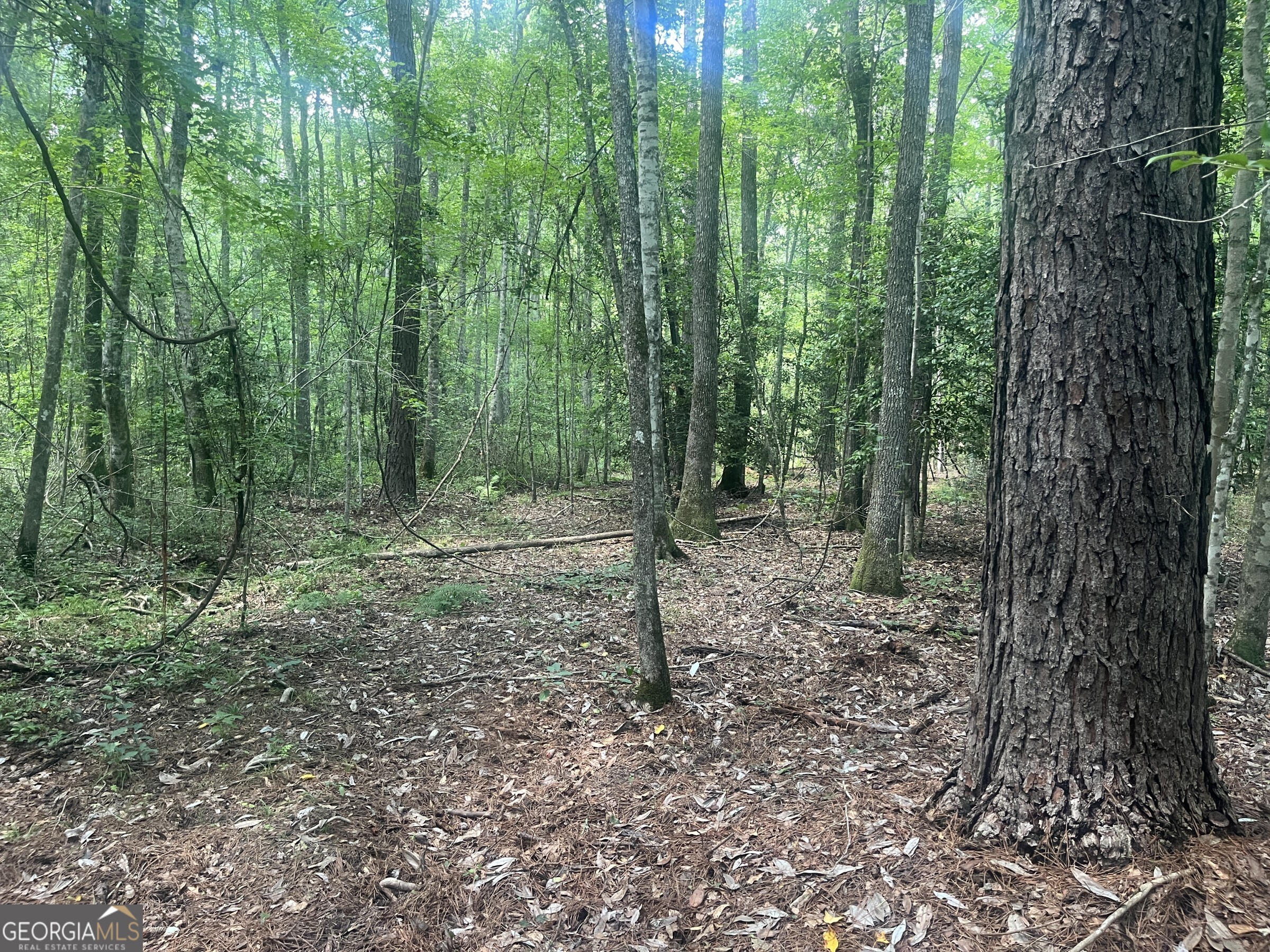 0 Wriley Road Mcintyre GA 31054