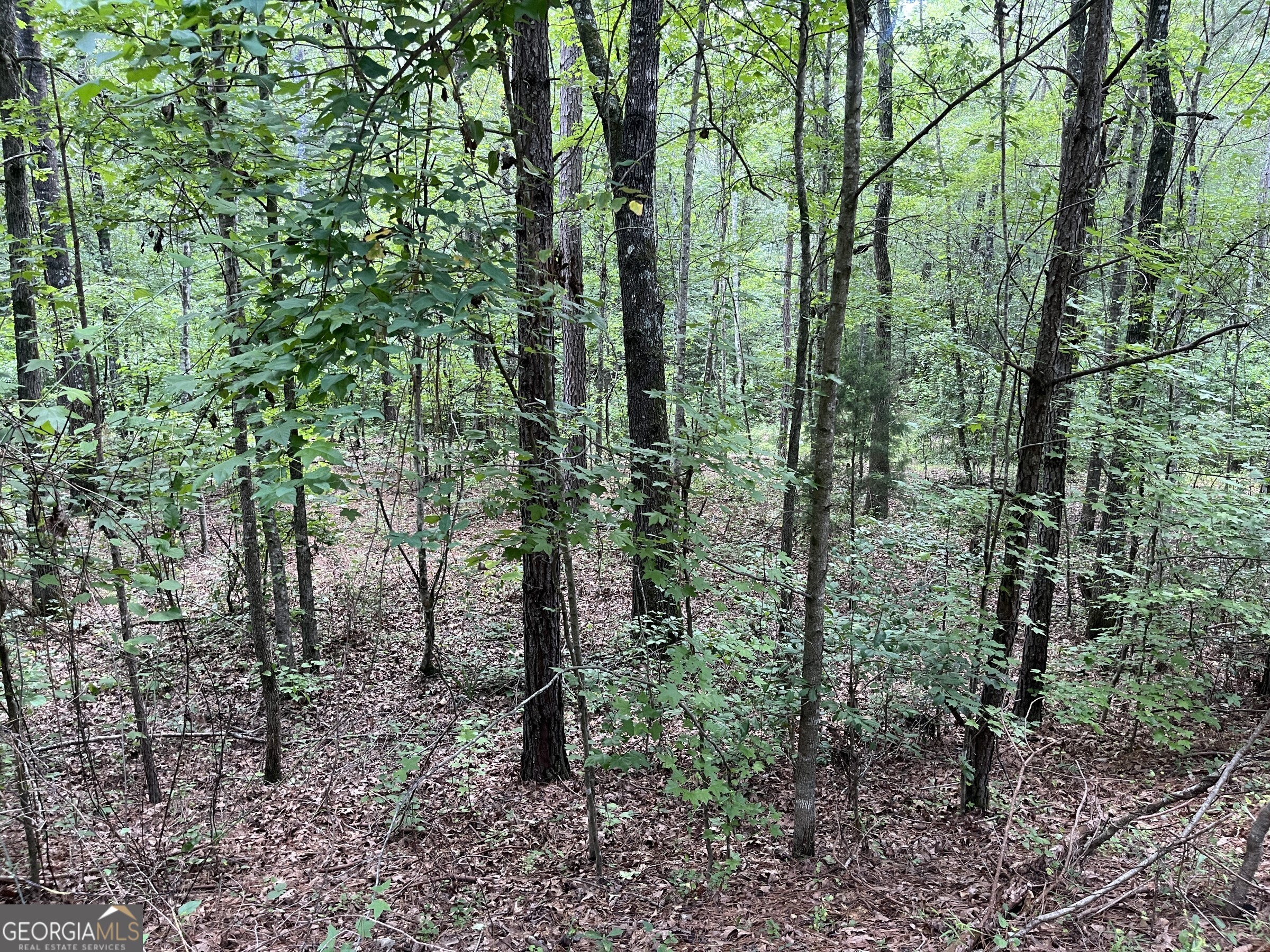 0 Wriley Road Mcintyre GA 31054