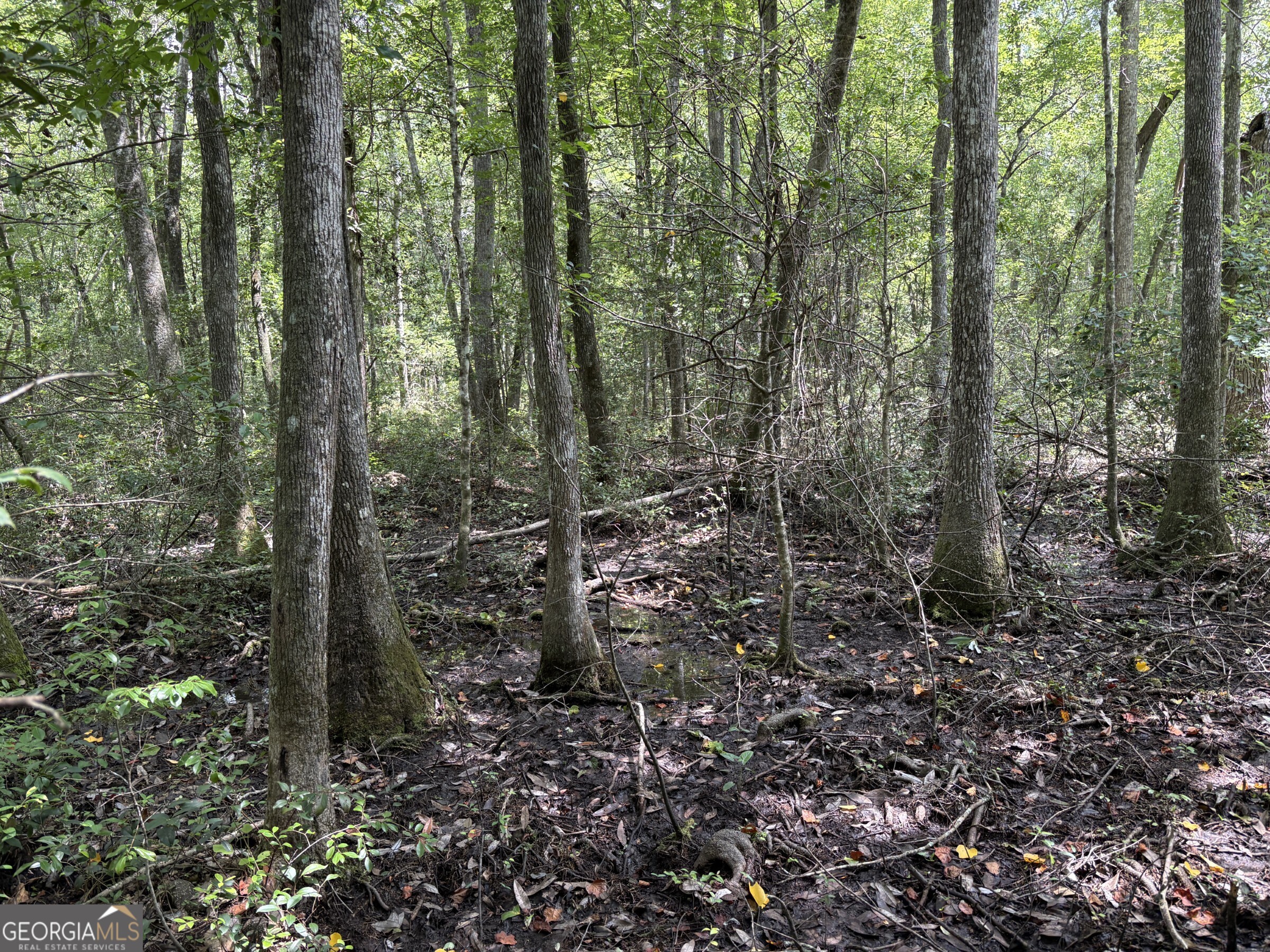 0 Wriley Road Mcintyre GA 31054