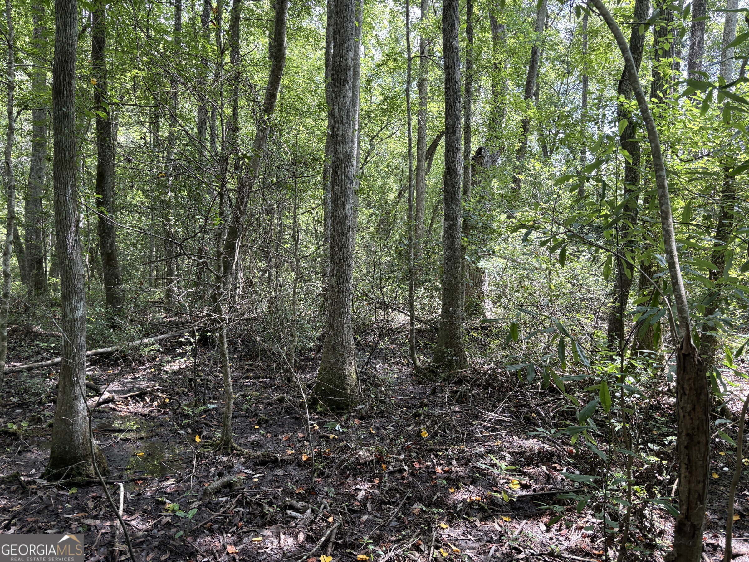 0 Wriley Road Mcintyre GA 31054