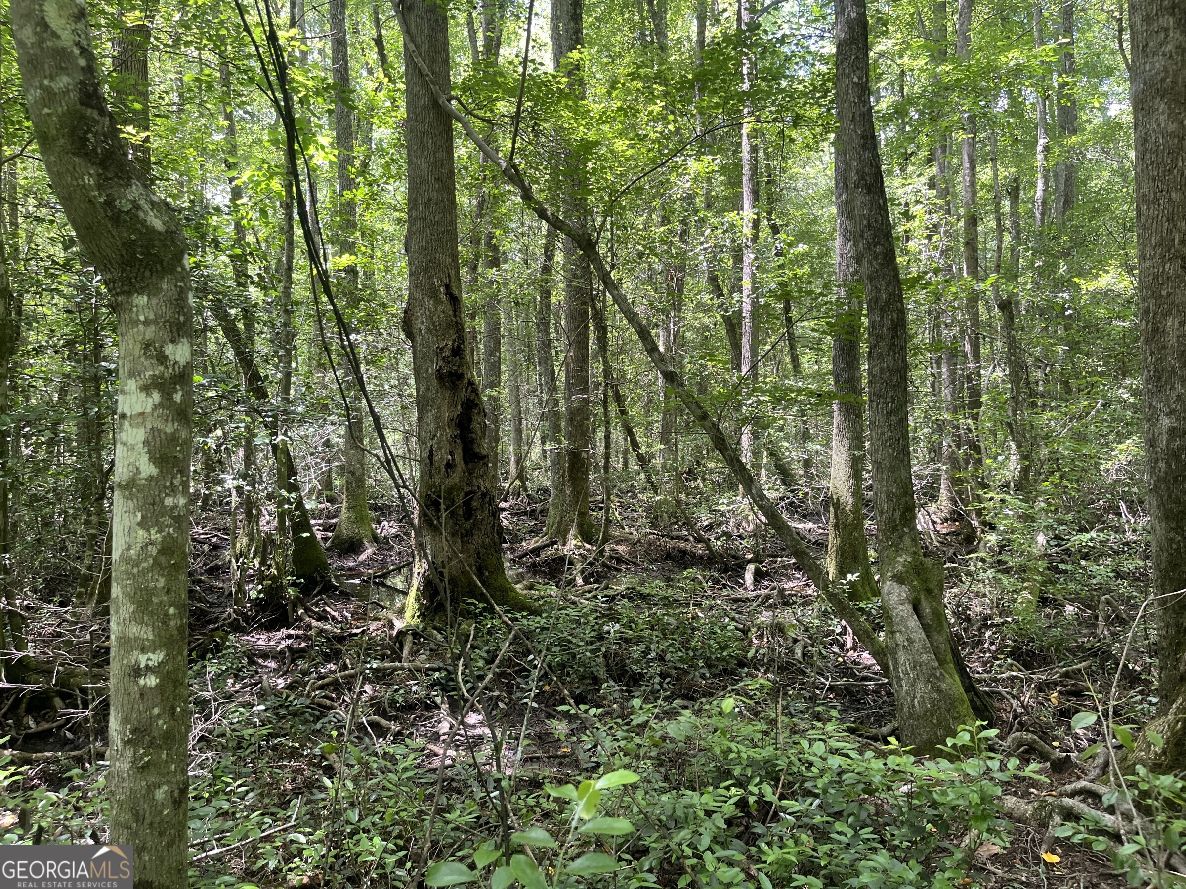 0 Wriley Road Mcintyre GA 31054