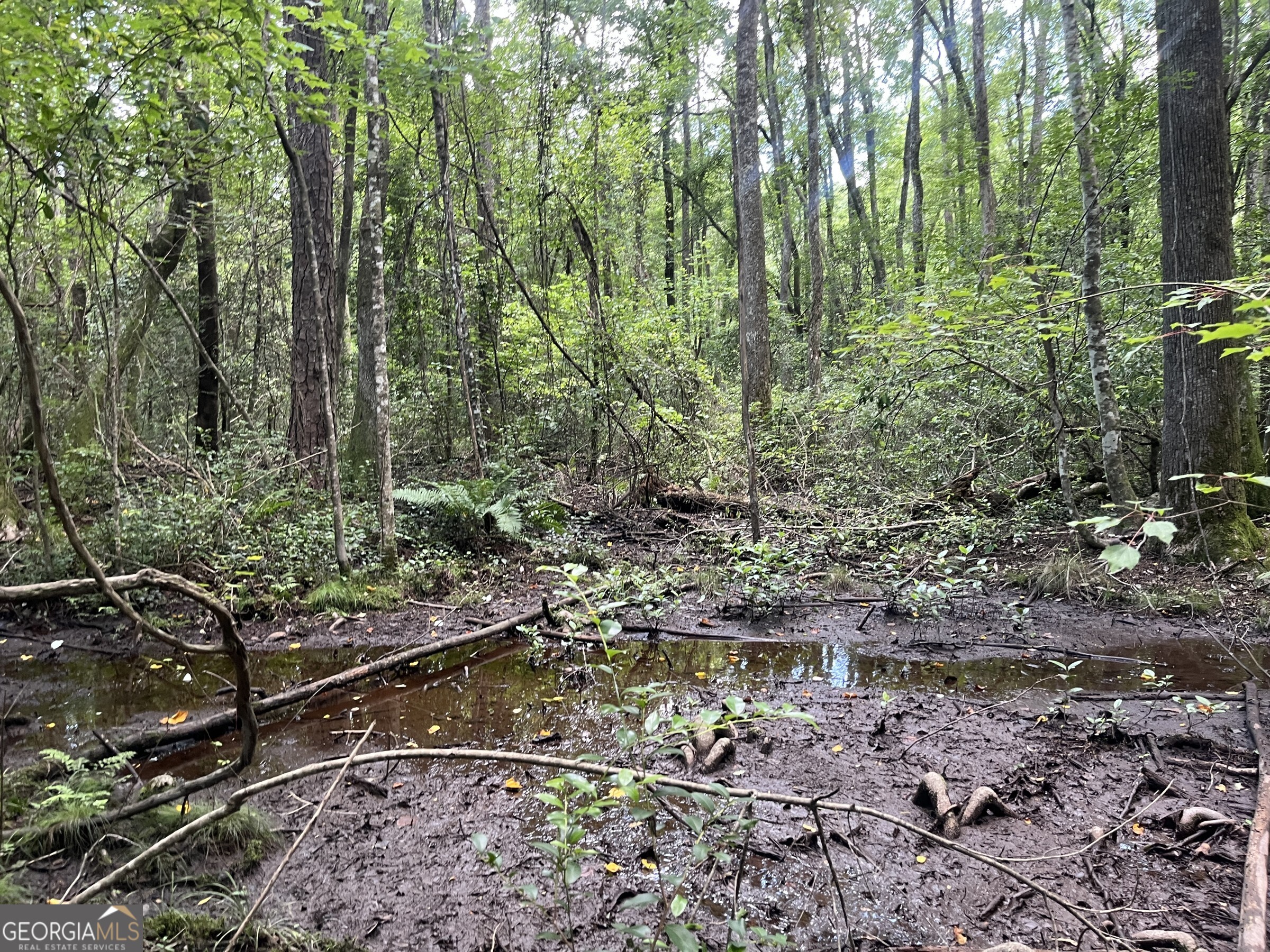 0 Wriley Road Mcintyre GA 31054