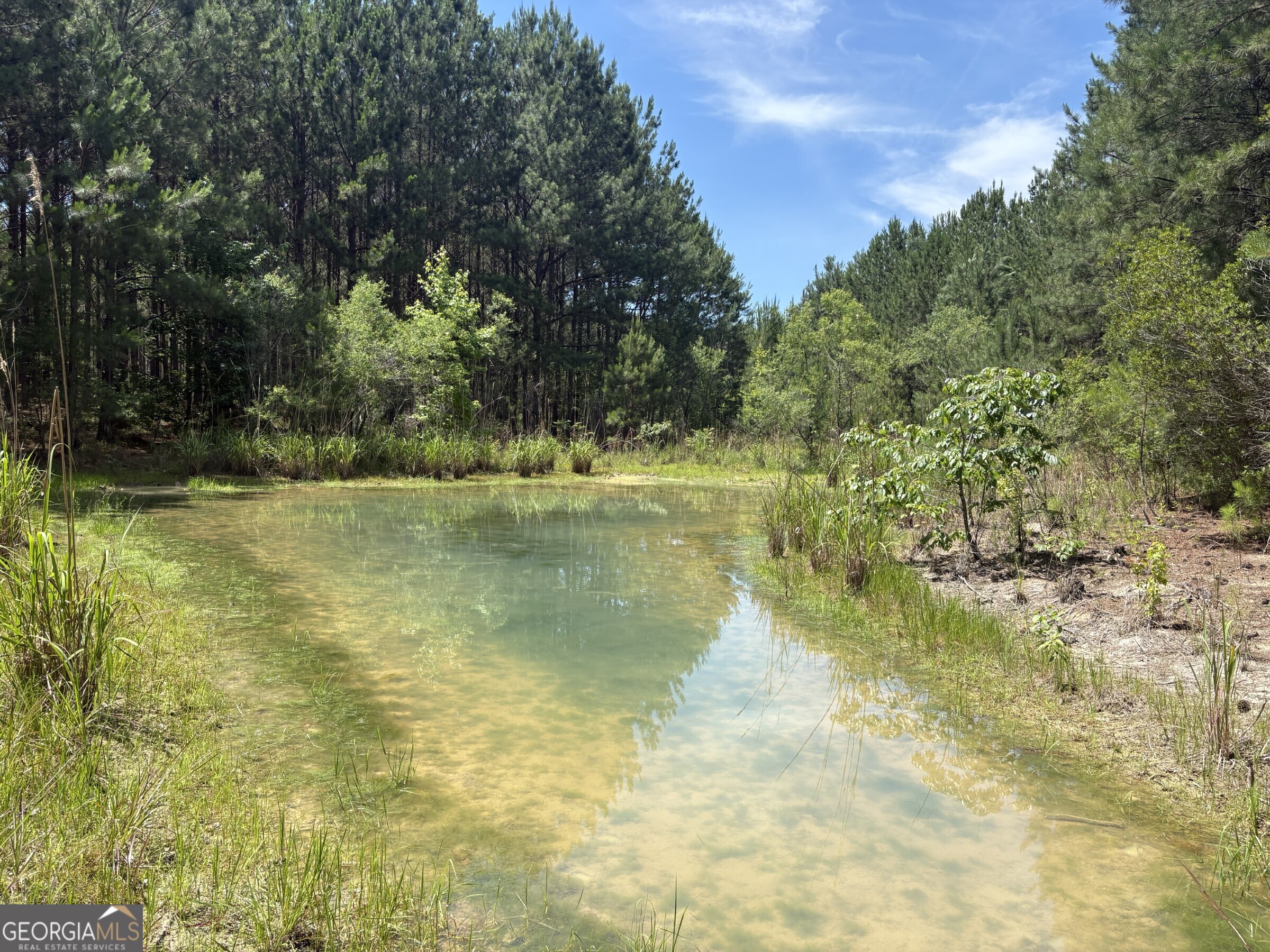 0 Wriley Road Mcintyre GA 31054