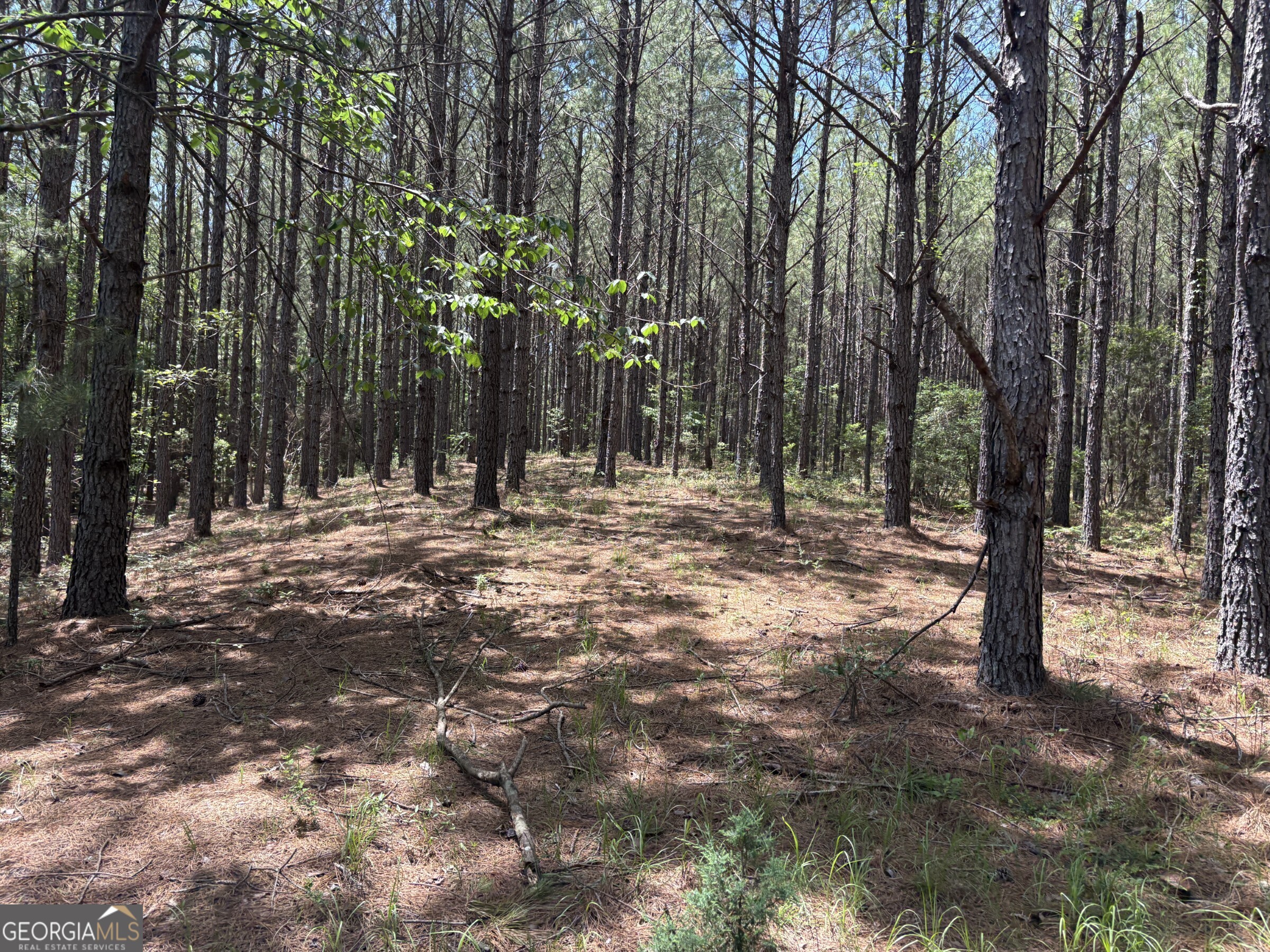 0 Wriley Road Mcintyre GA 31054