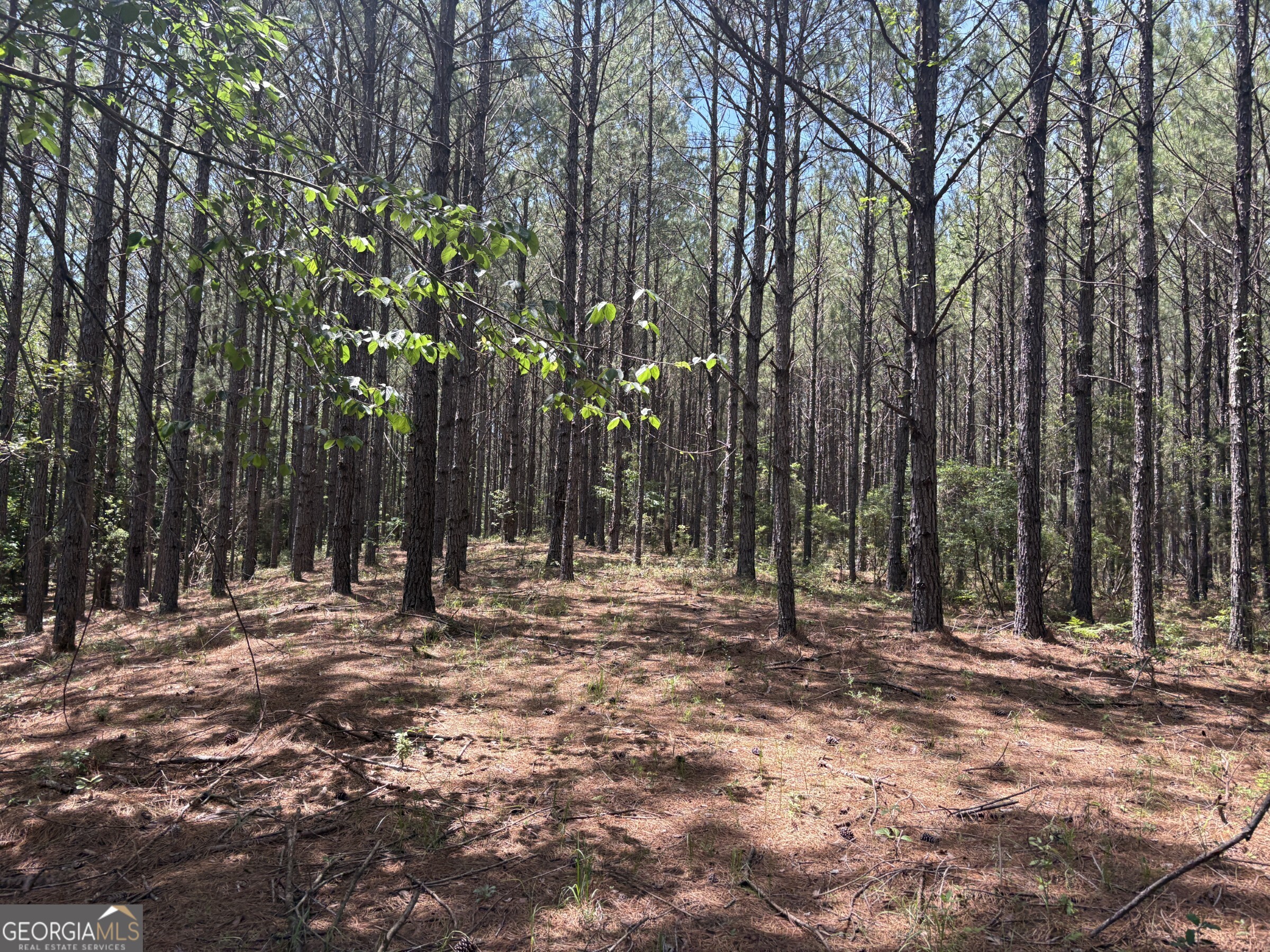 0 Wriley Road Mcintyre GA 31054