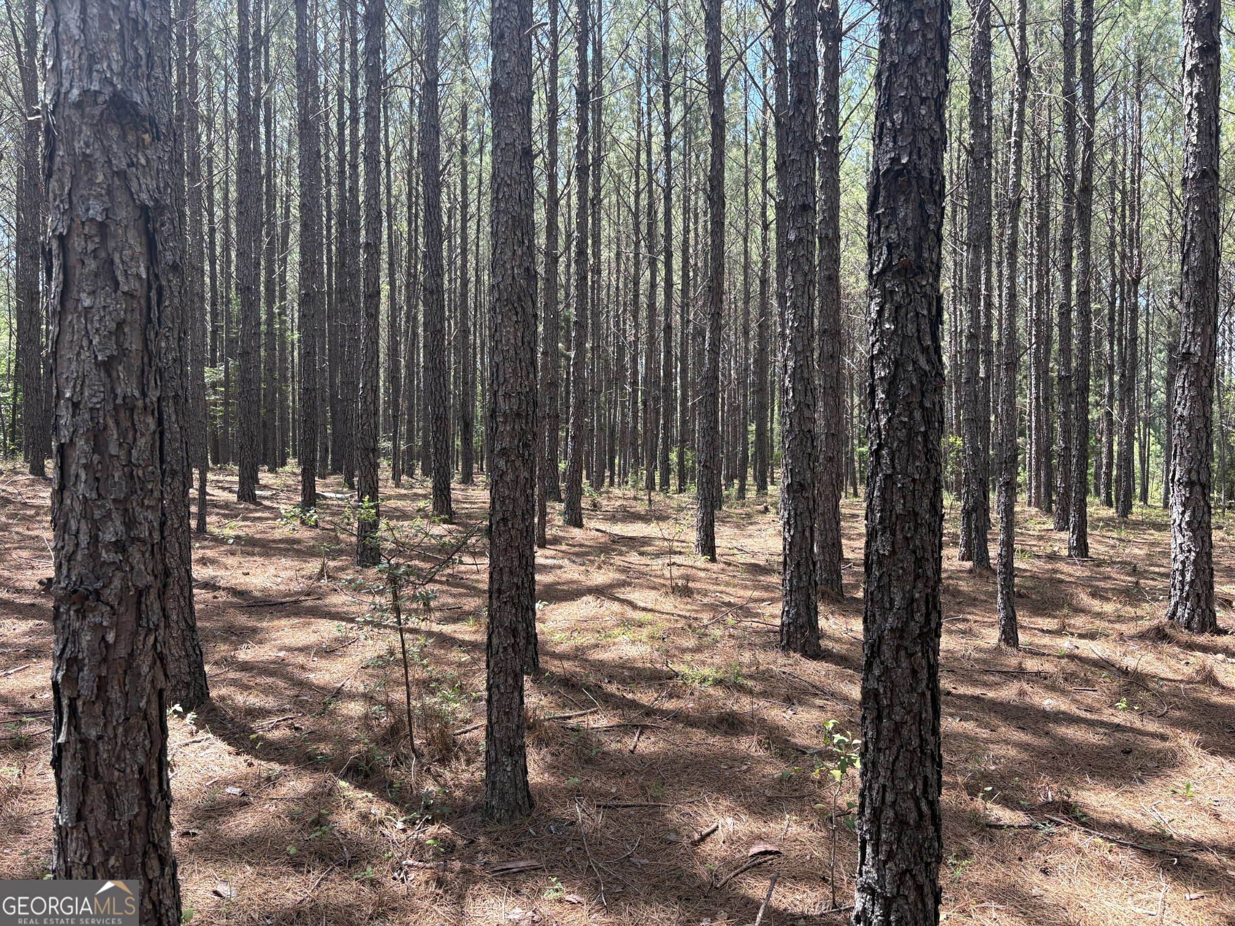 0 Wriley Road Mcintyre GA 31054