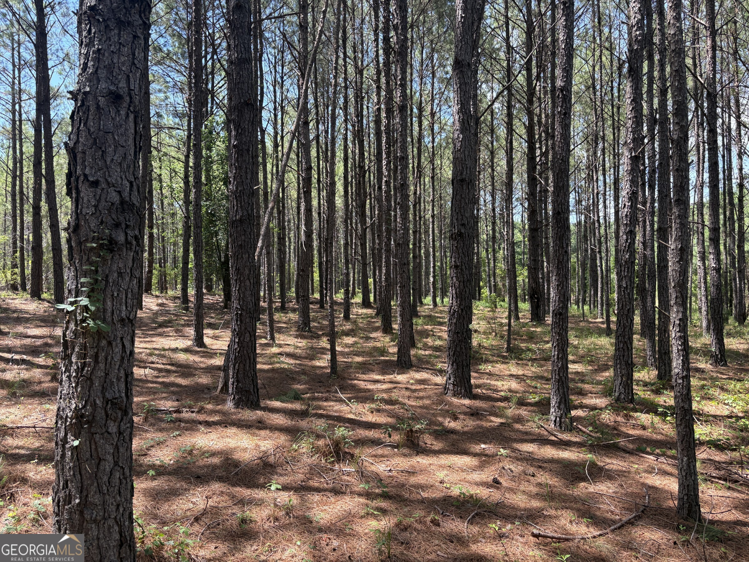 0 Wriley Road Mcintyre GA 31054