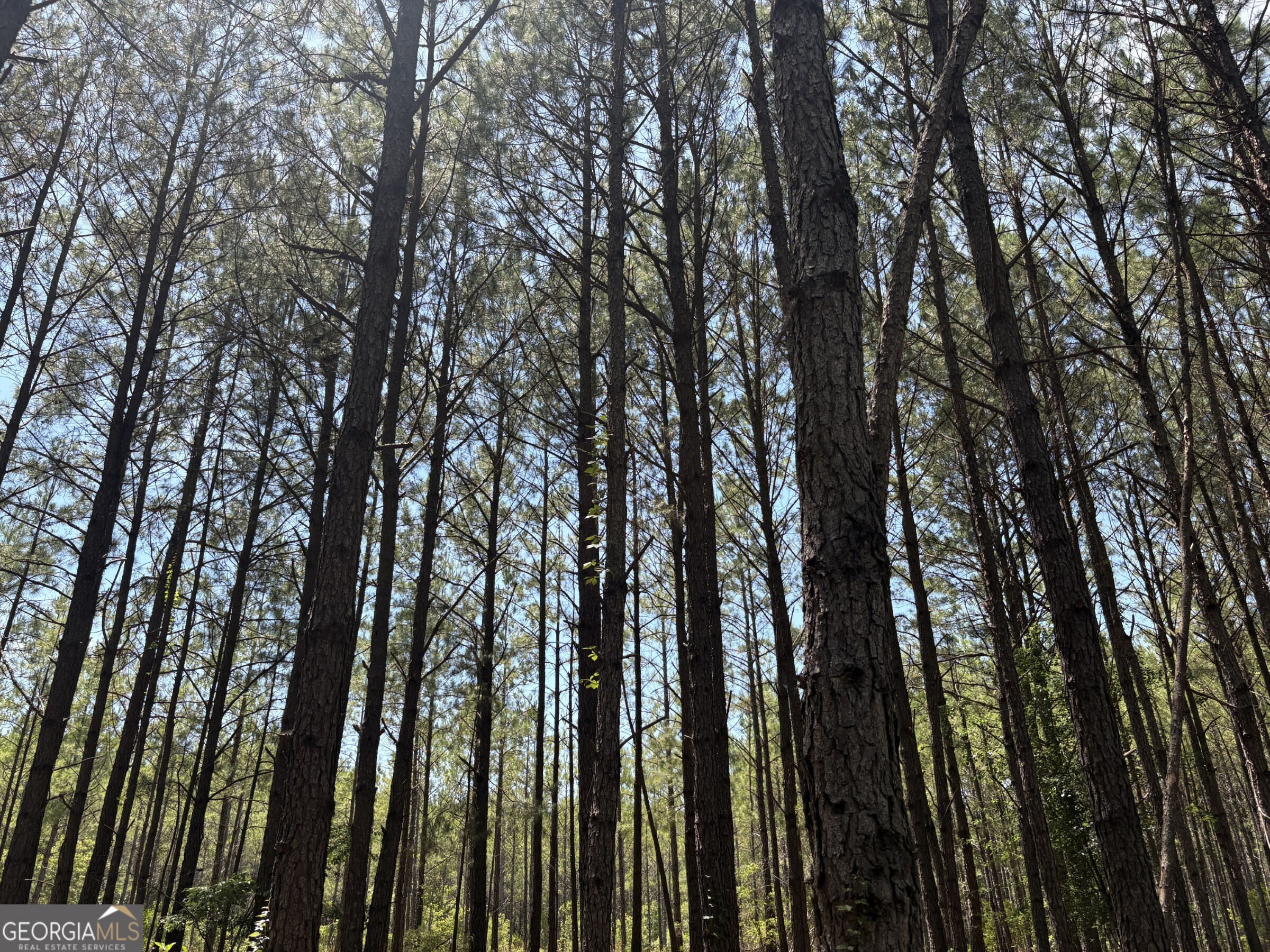 0 Wriley Road Mcintyre GA 31054