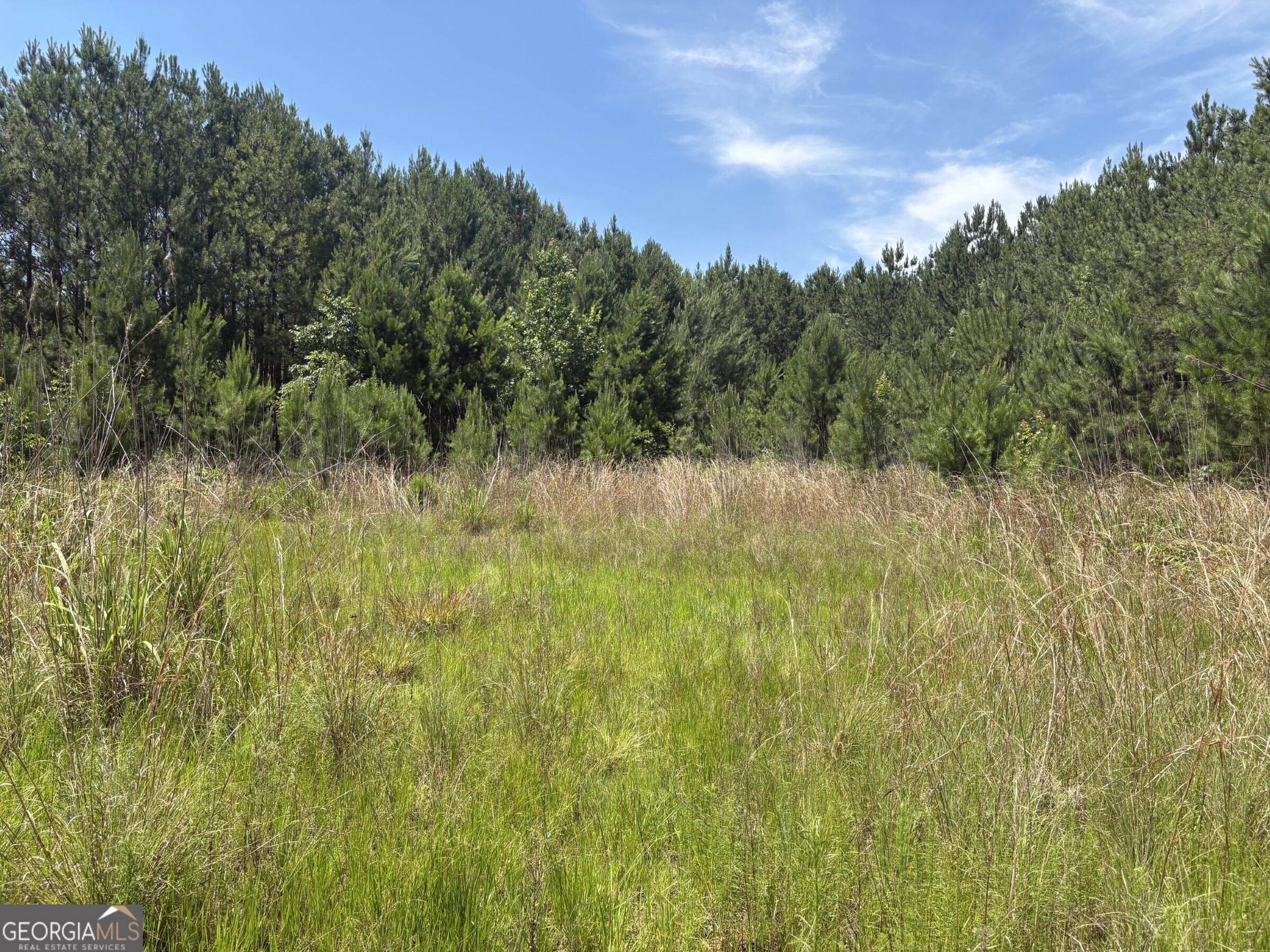 0 Wriley Road Mcintyre GA 31054