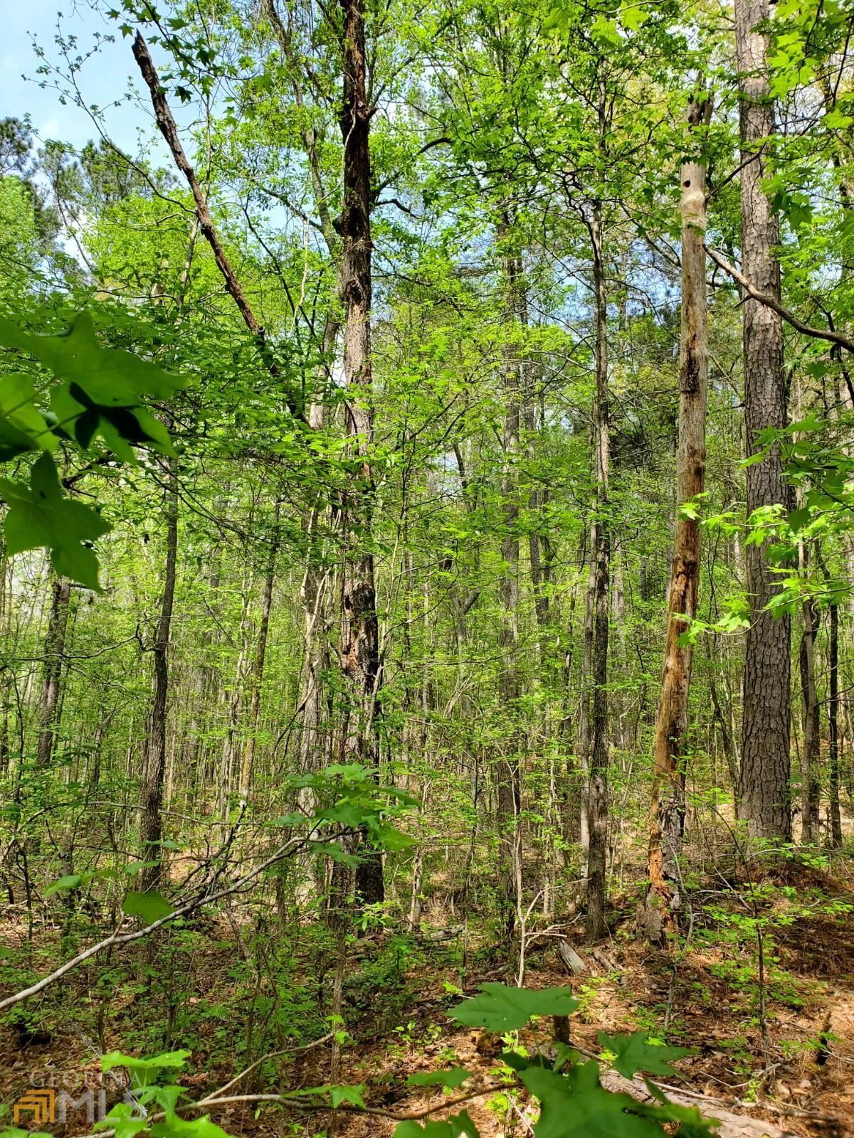 0 Old Highway 138 Oxford GA 30054