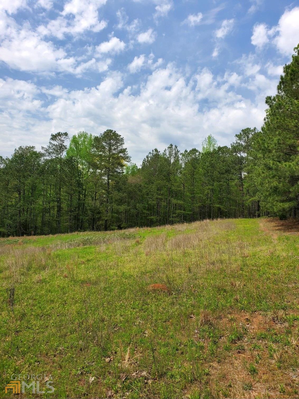 0 Old Highway 138 Oxford GA 30054