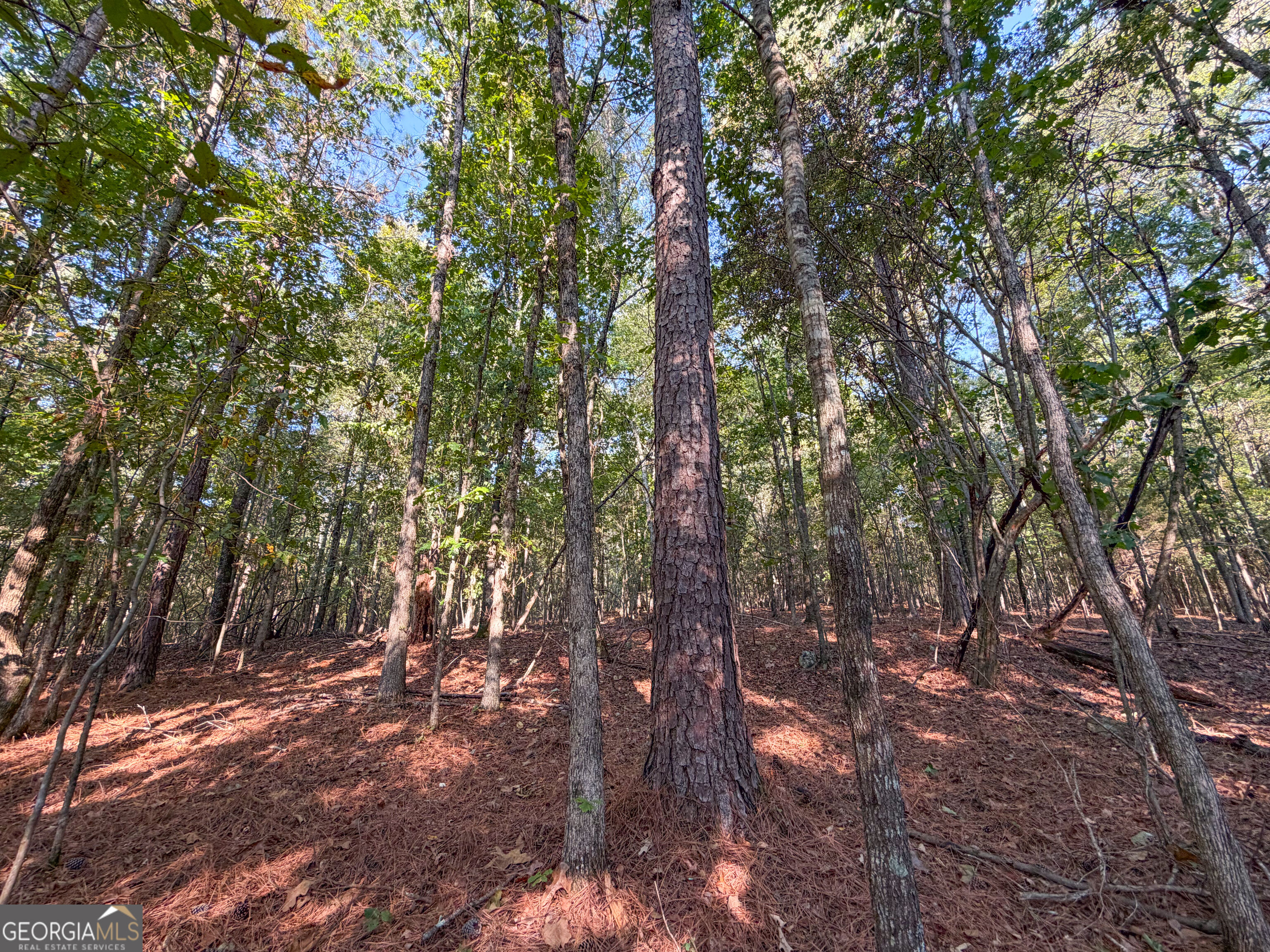 201 Mulinix Road Kingston GA 30145