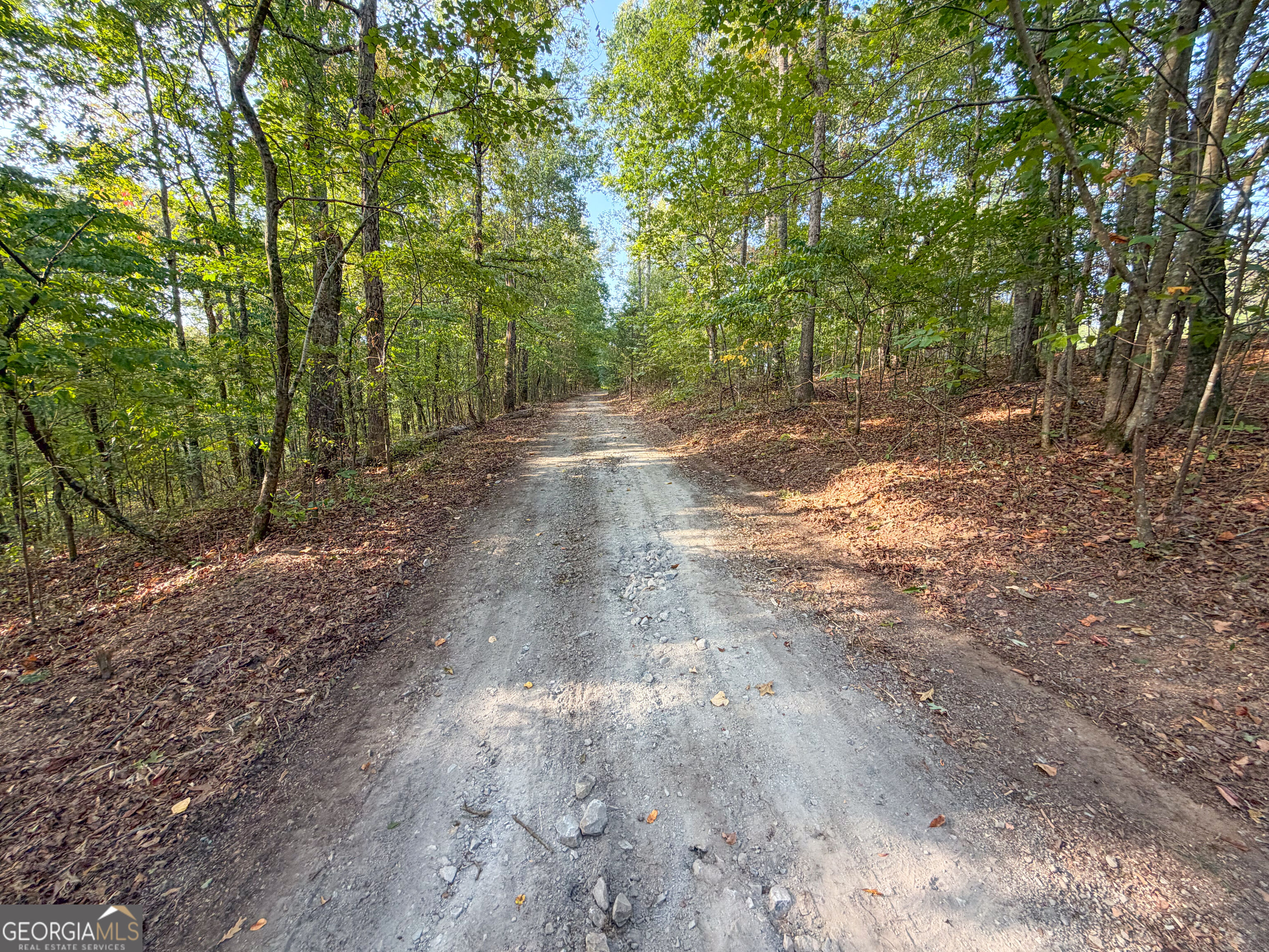 201 Mulinix Road Kingston GA 30145