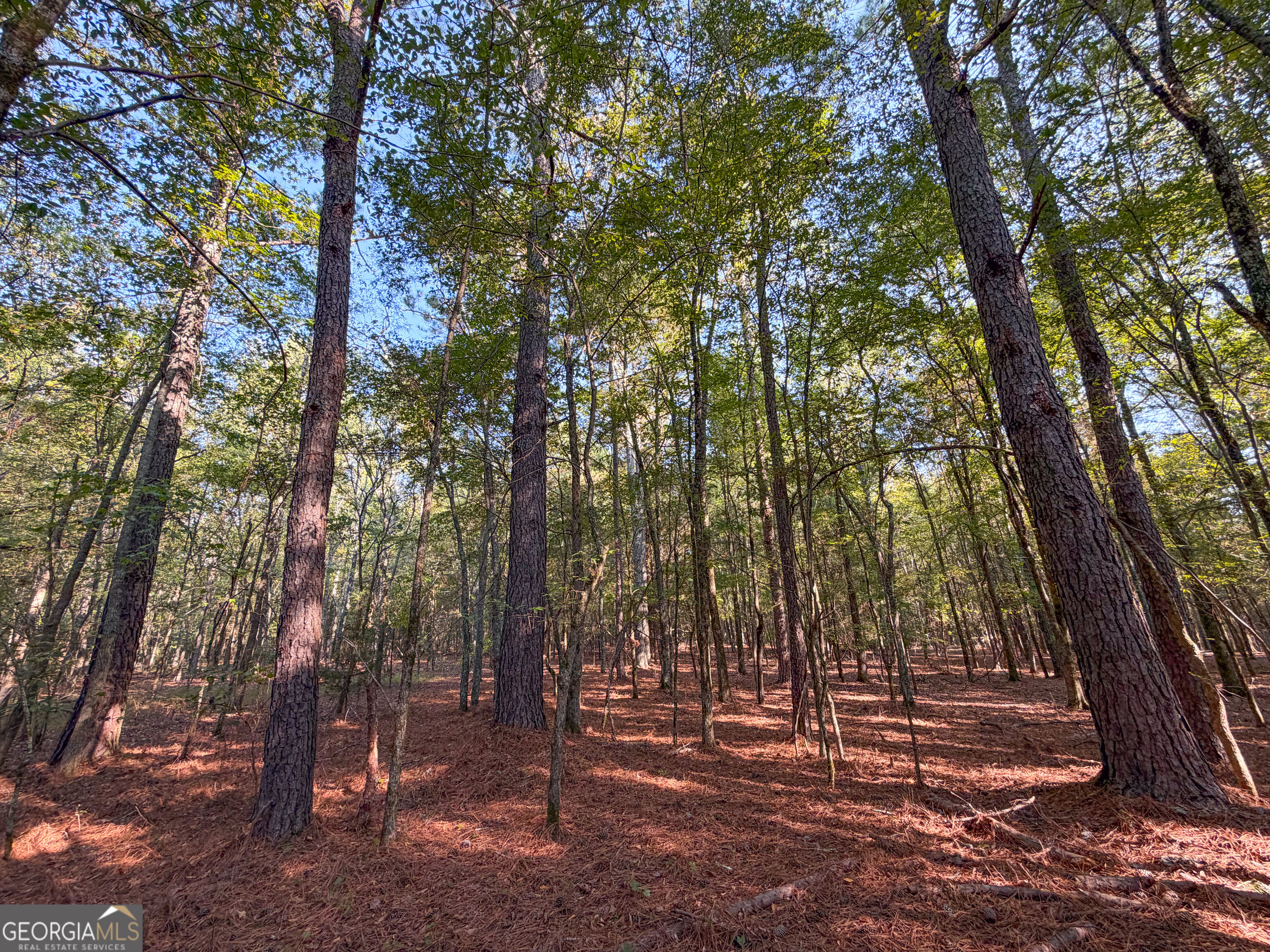 201 Mulinix Road Kingston GA 30145