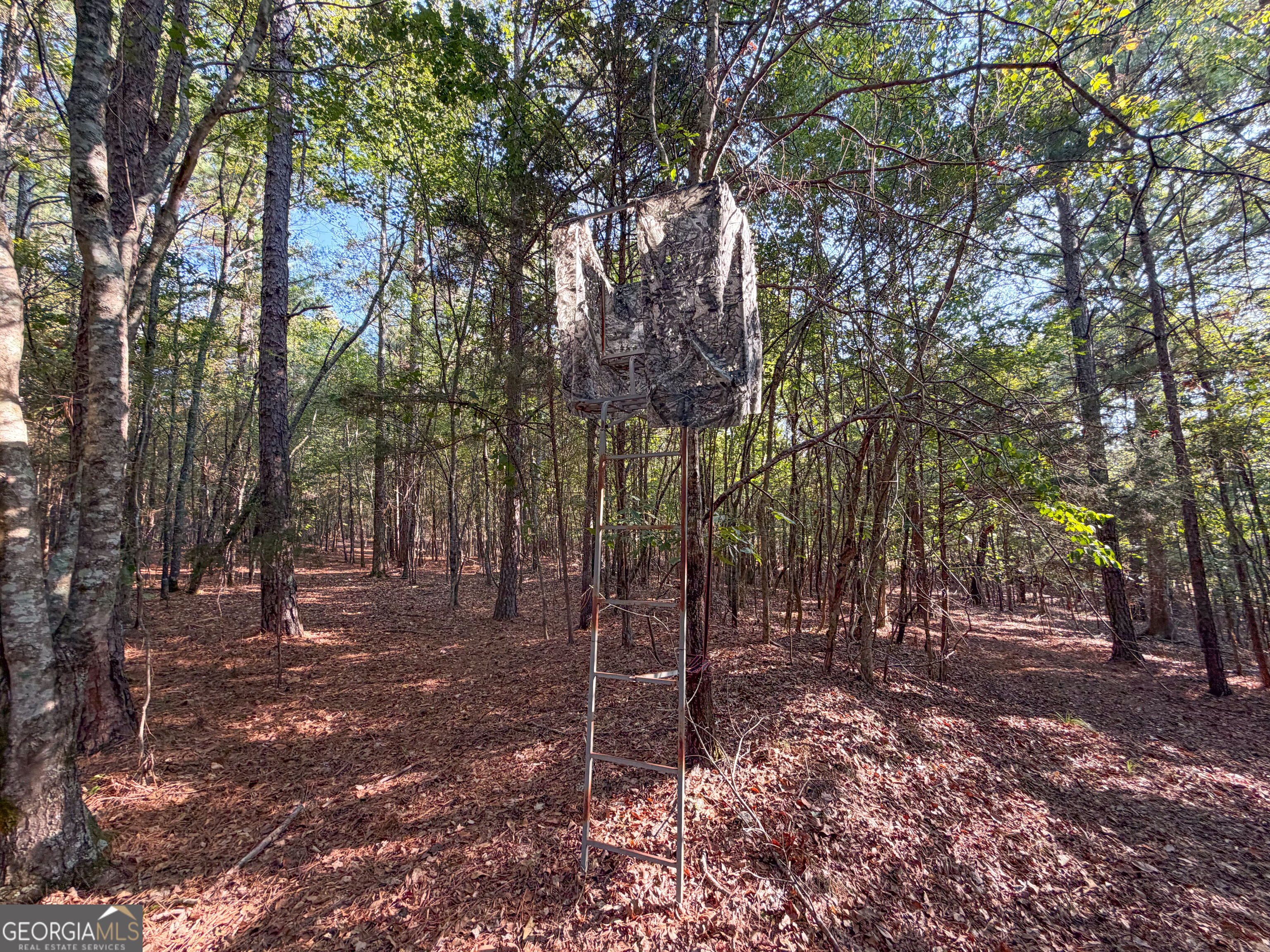 201 Mulinix Road Kingston GA 30145