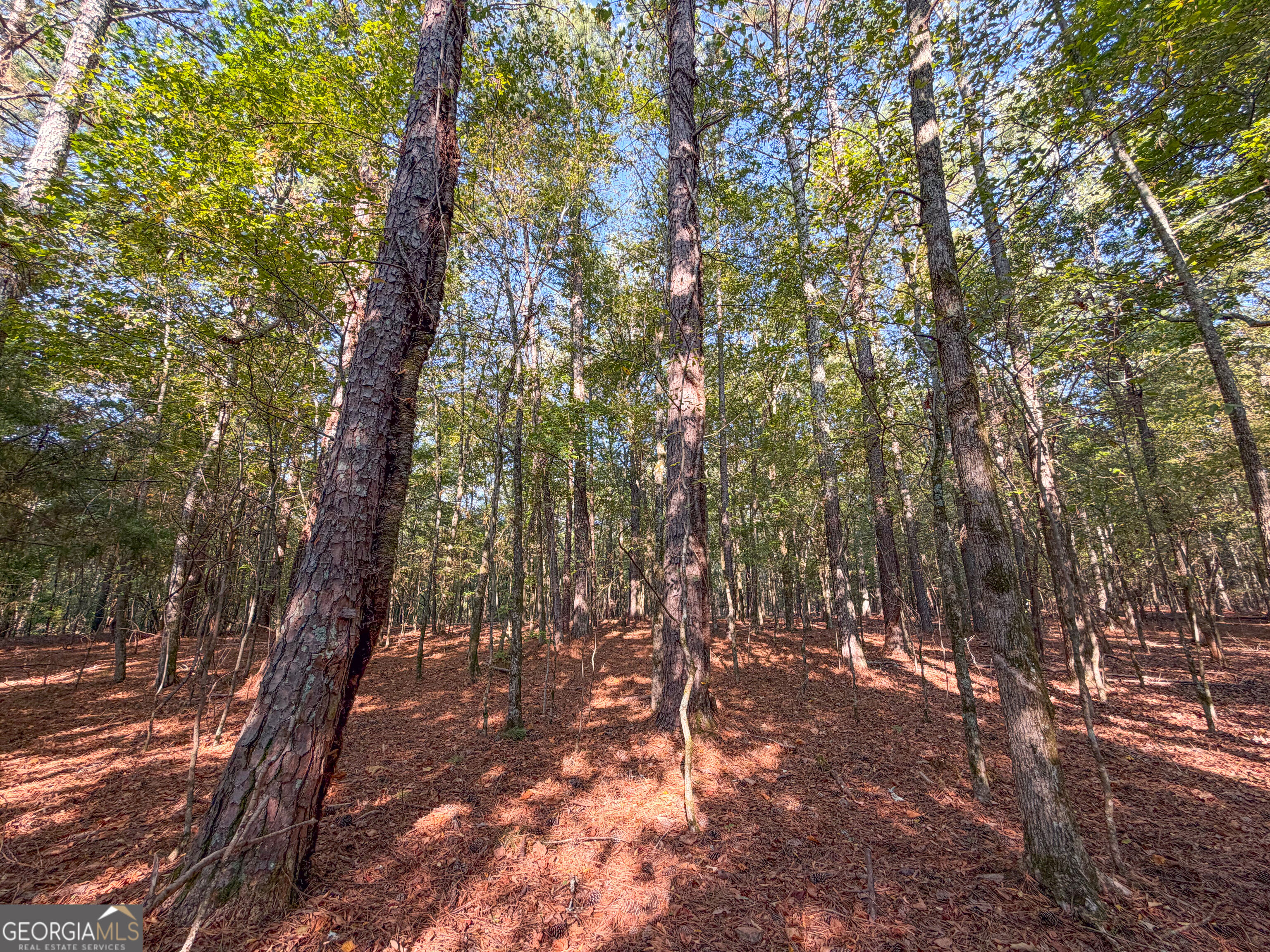 201 Mulinix Road Kingston GA 30145