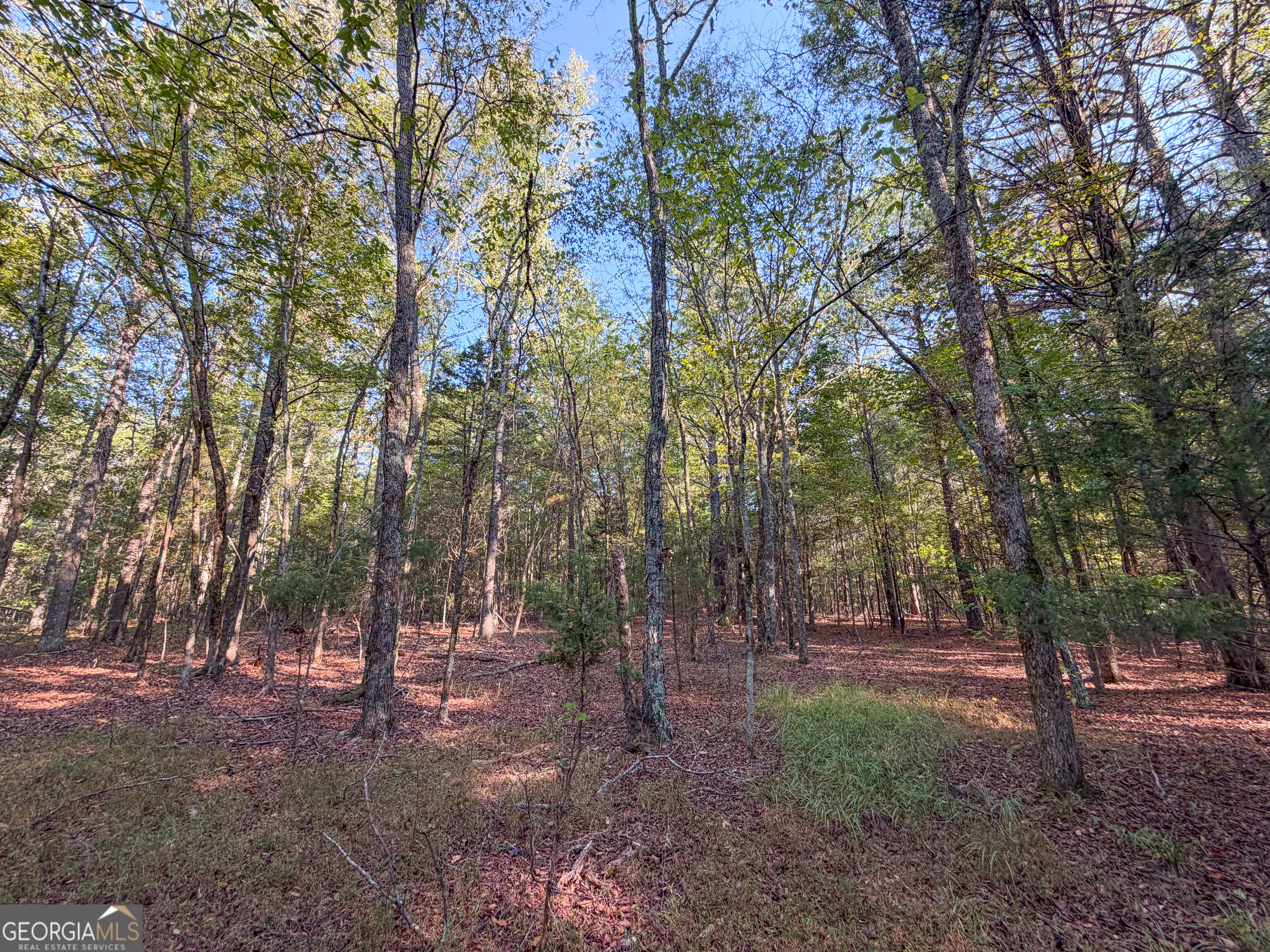 201 Mulinix Road Kingston GA 30145