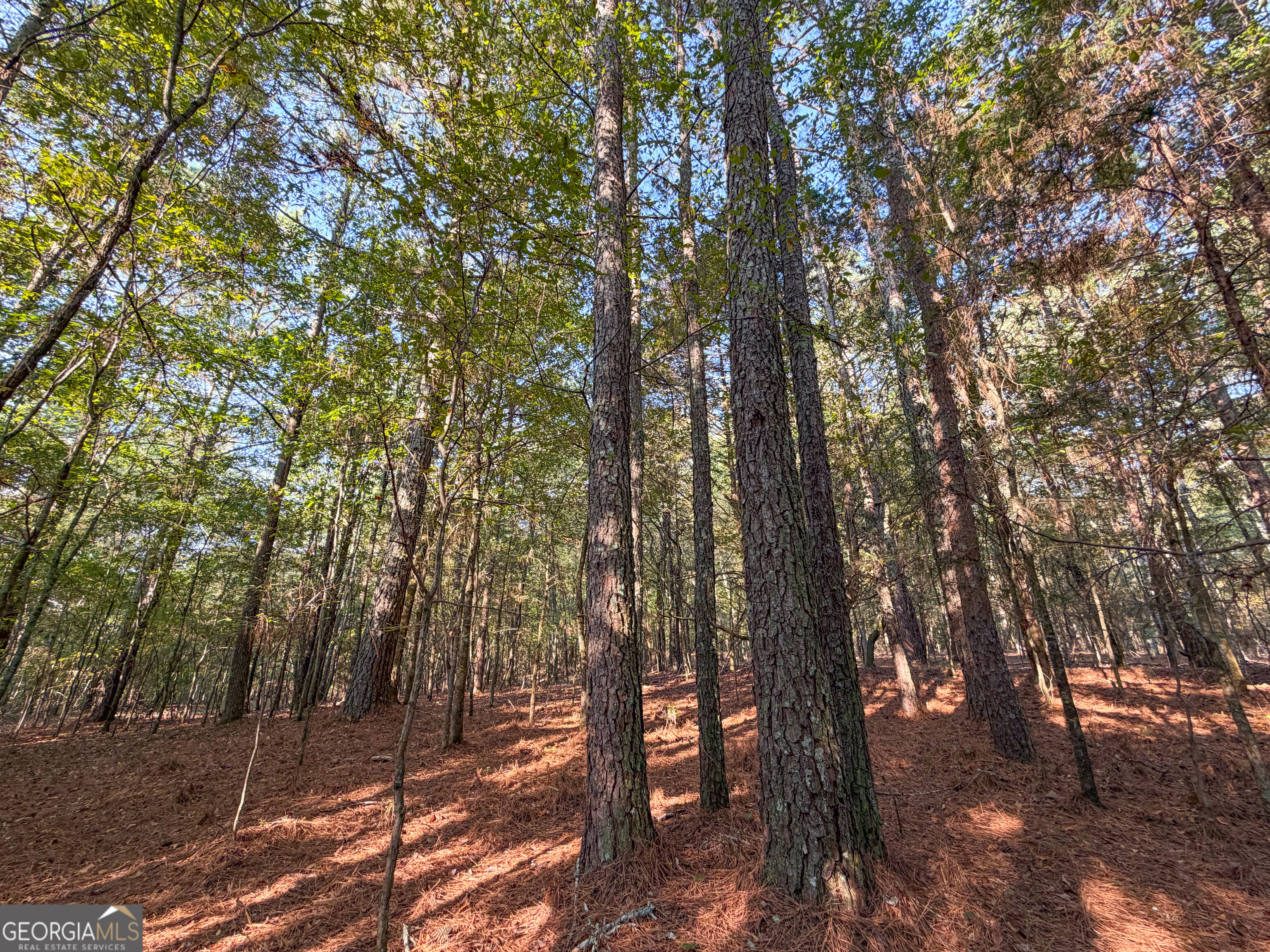 201 Mulinix Road Kingston GA 30145