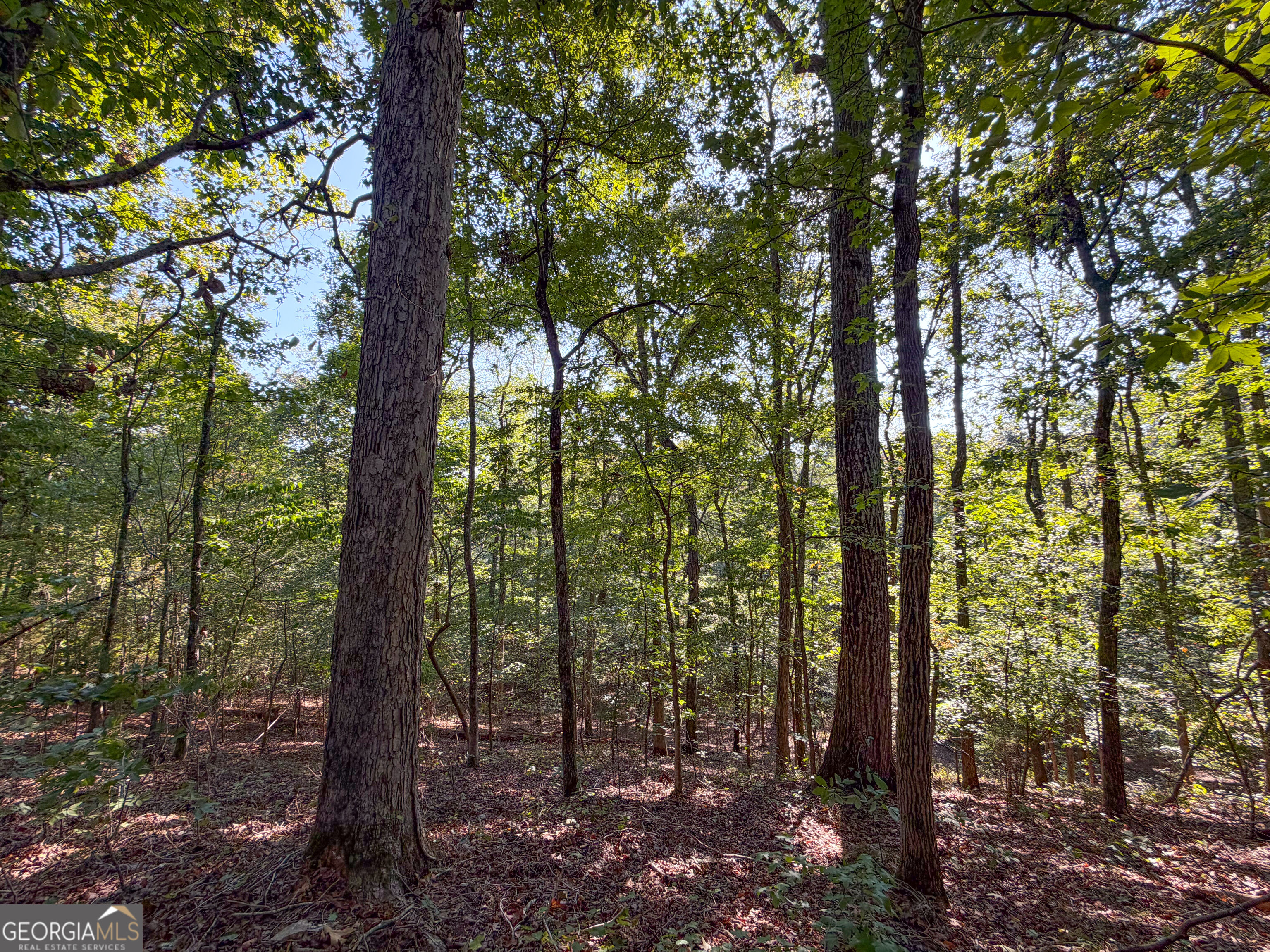 201 Mulinix Road Kingston GA 30145