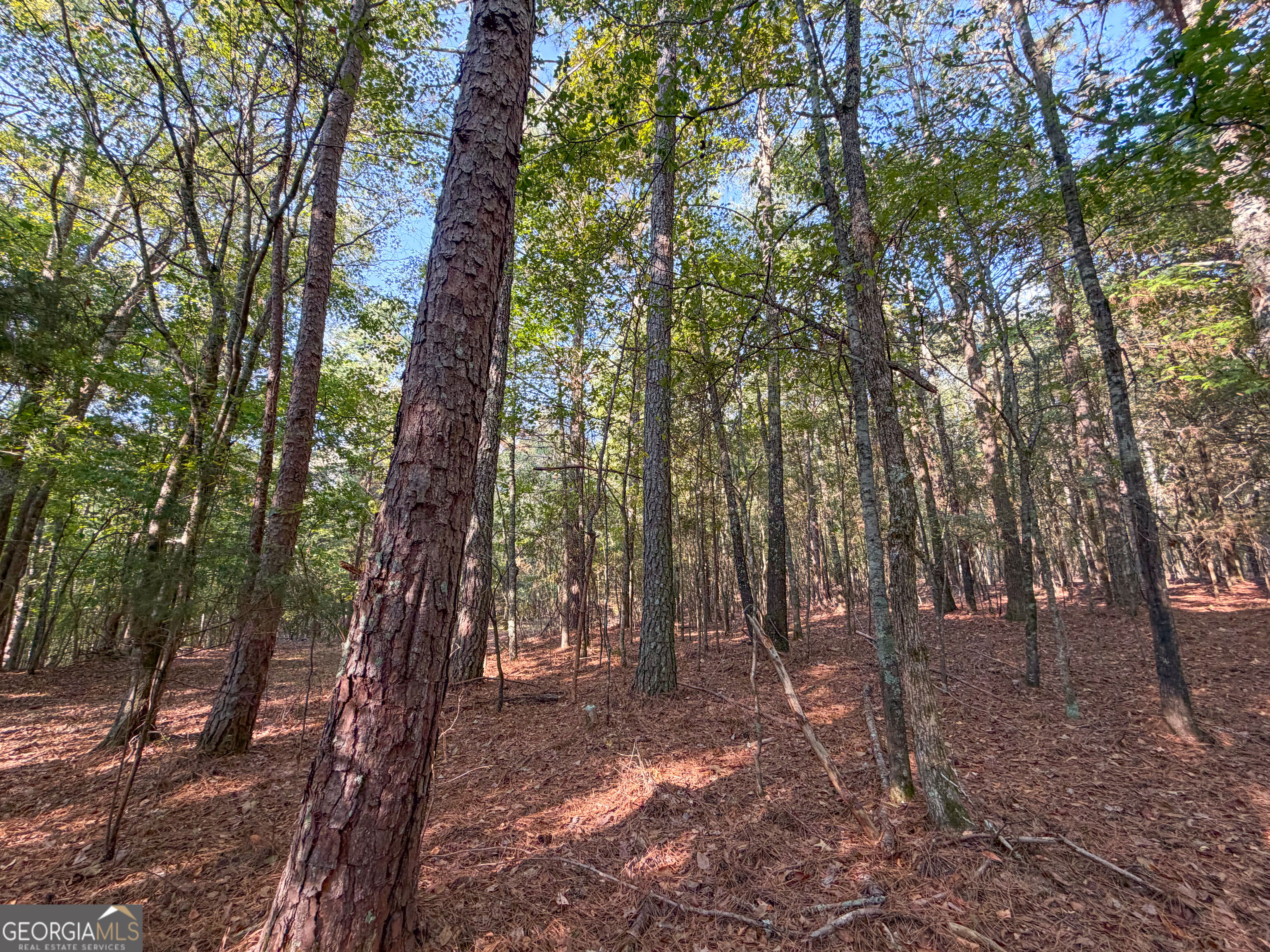 201 Mulinix Road Kingston GA 30145
