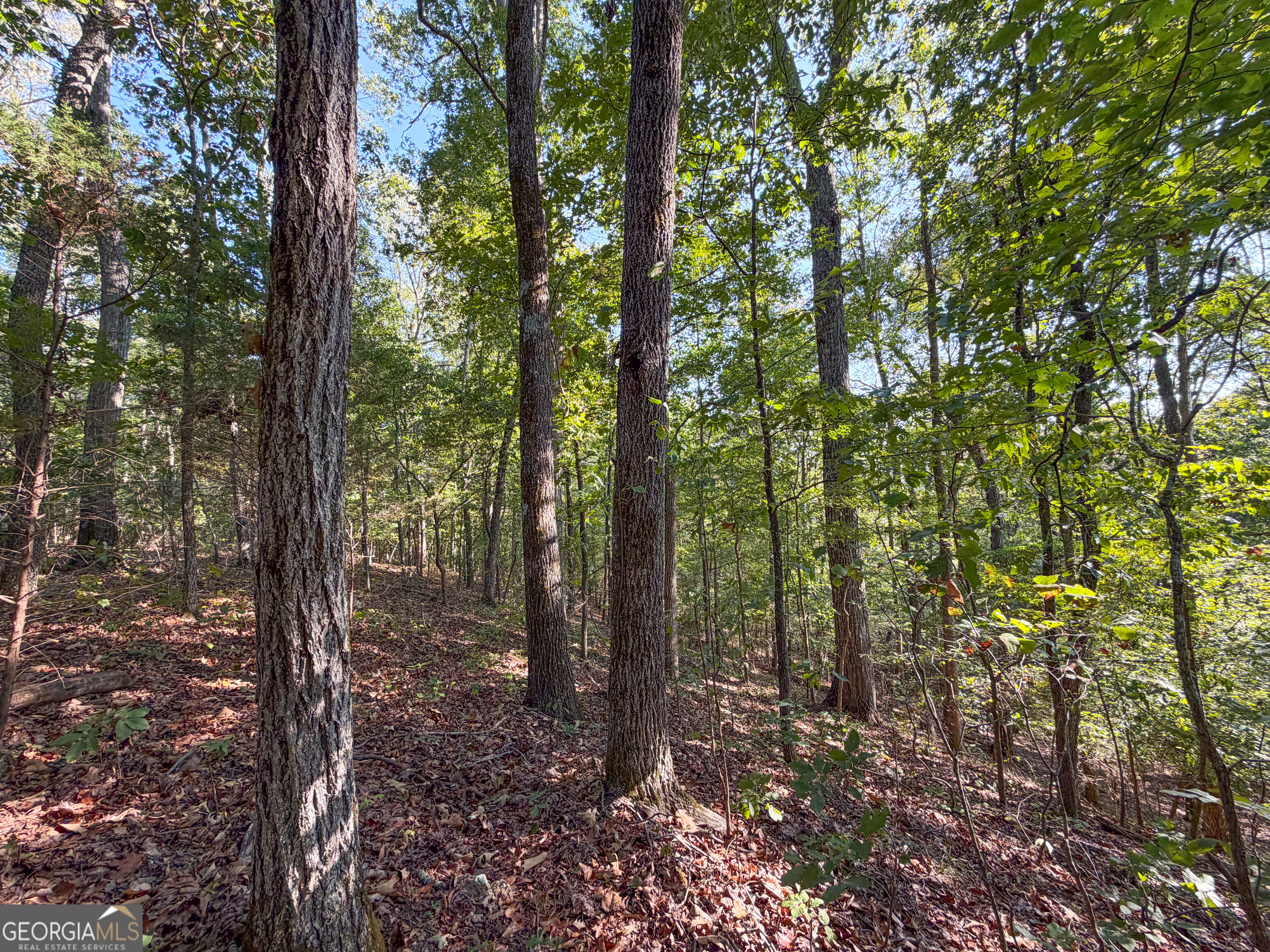 201 Mulinix Road Kingston GA 30145