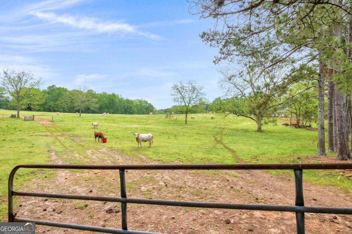 2450 Chestnut Grove Road Shiloh GA 31826
