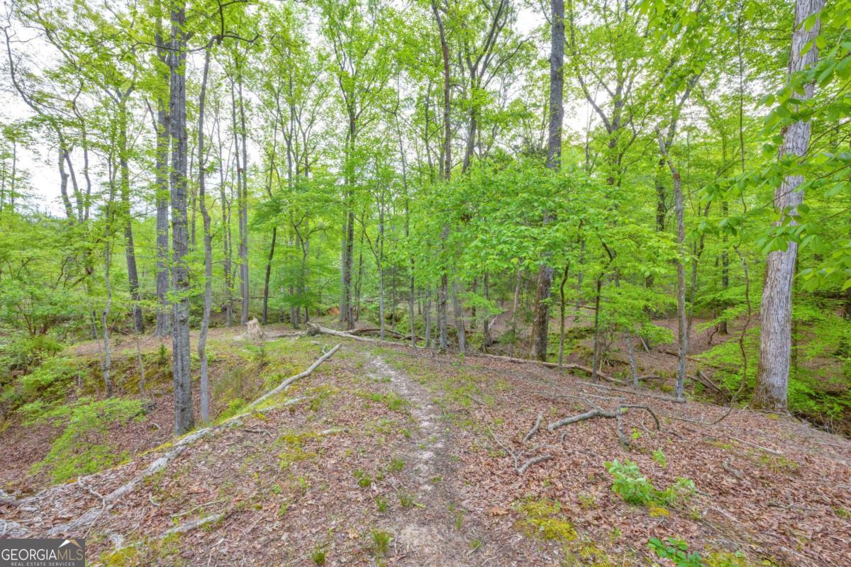 2450 Chestnut Grove Road Shiloh GA 31826