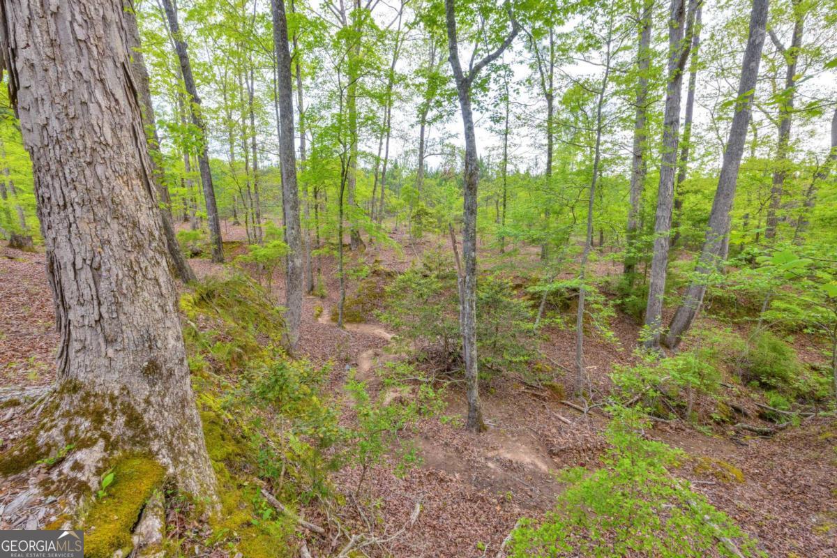 2450 Chestnut Grove Road Shiloh GA 31826