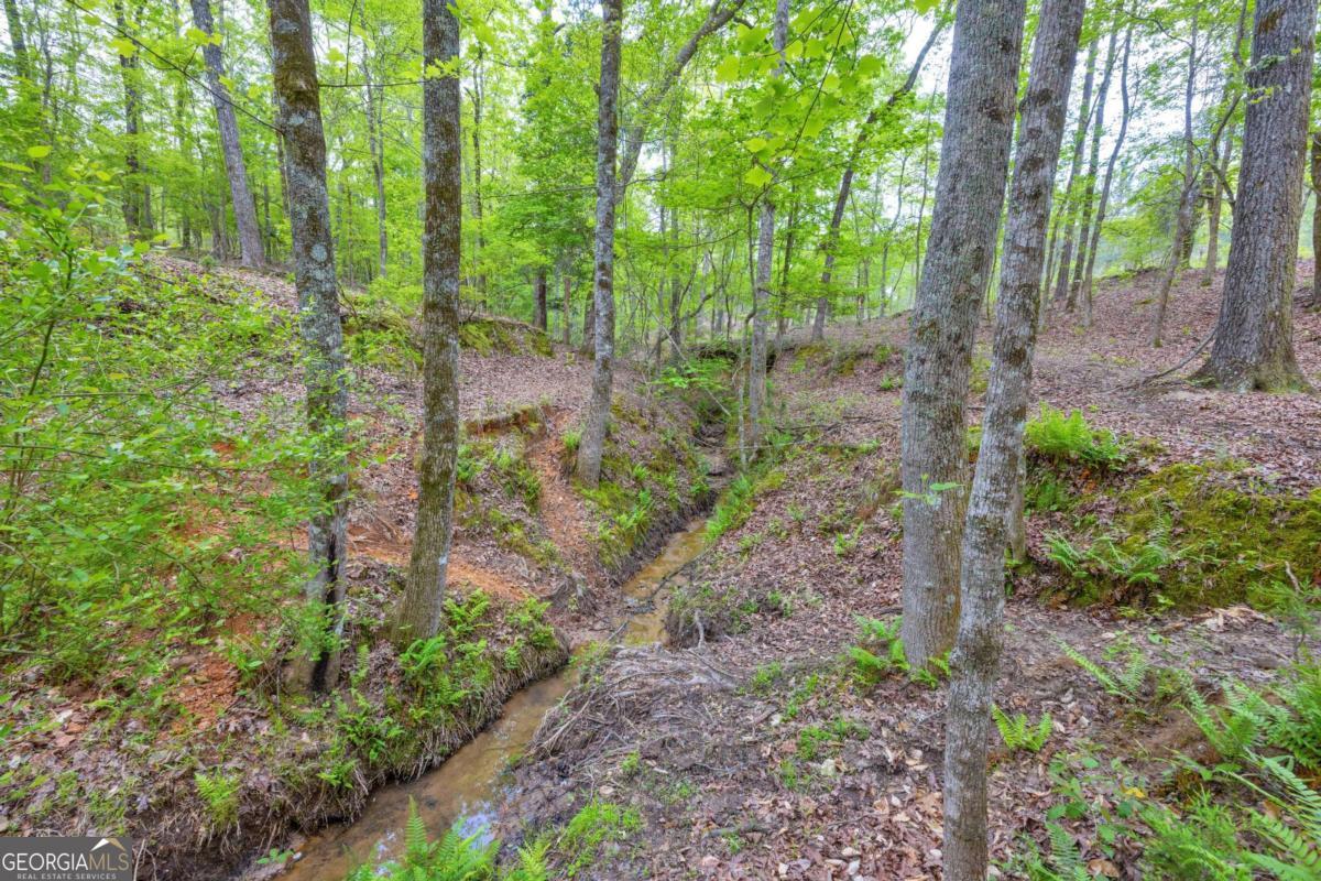 2450 Chestnut Grove Road Shiloh GA 31826