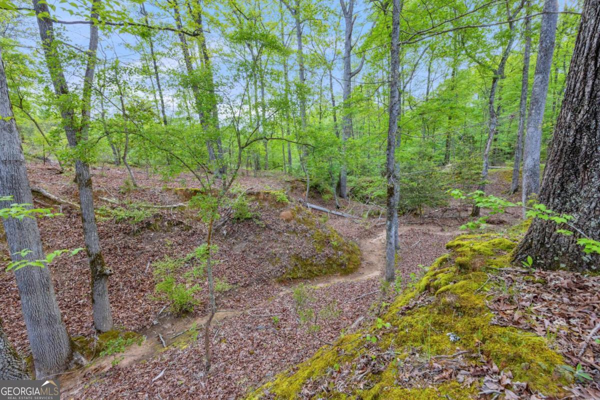 2450 Chestnut Grove Road Shiloh GA 31826