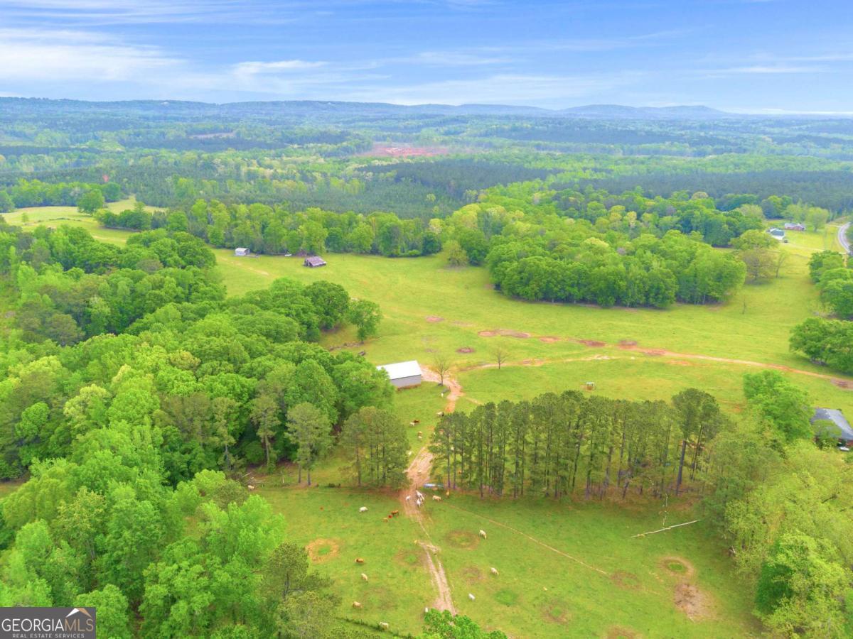 2450 Chestnut Grove Road Shiloh GA 31826