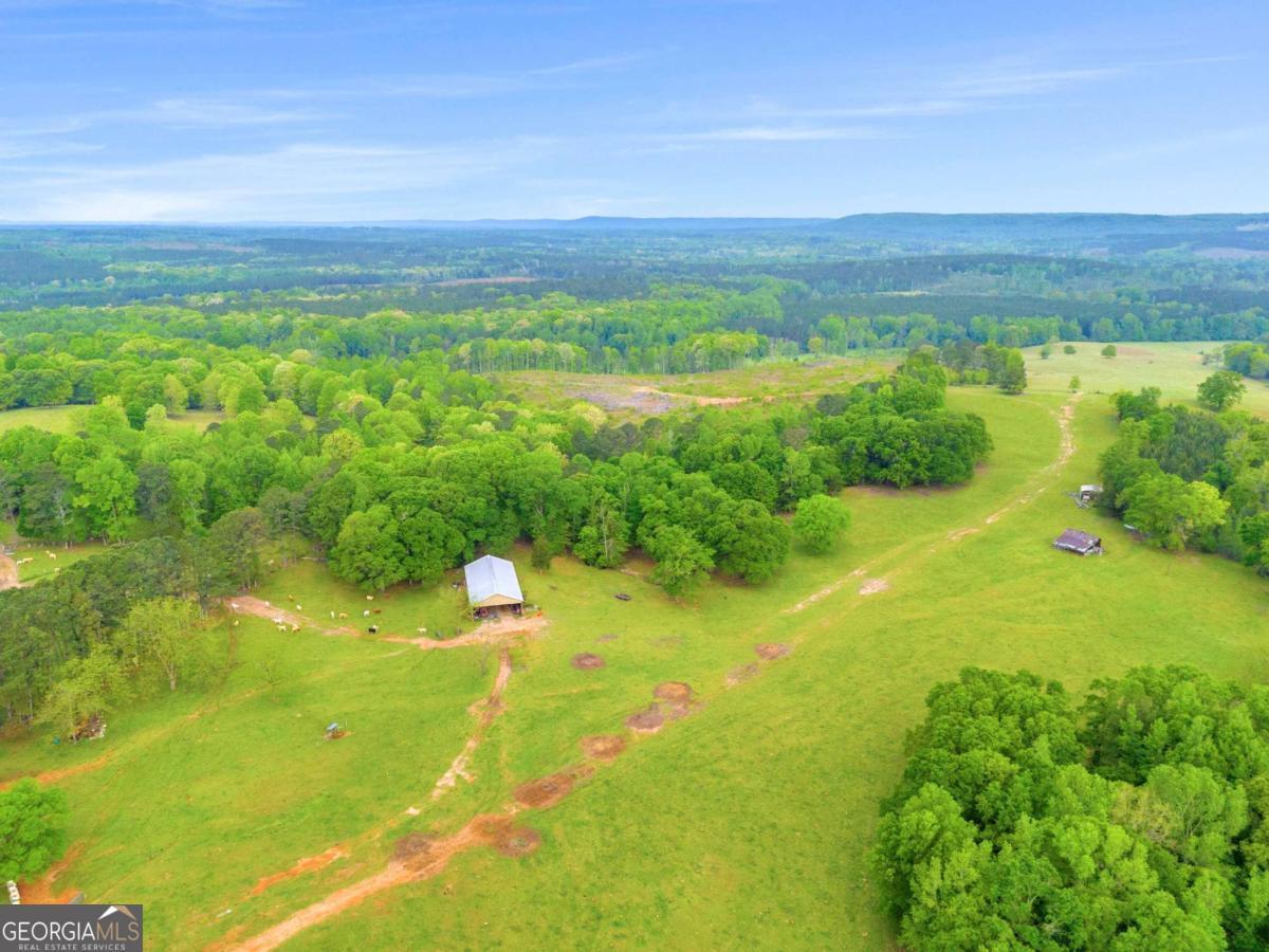 2450 Chestnut Grove Road Shiloh GA 31826