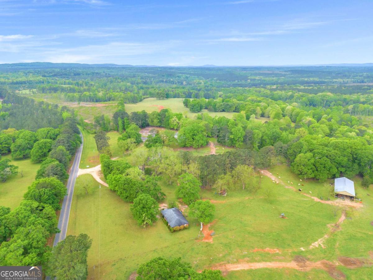 2450 Chestnut Grove Road Shiloh GA 31826