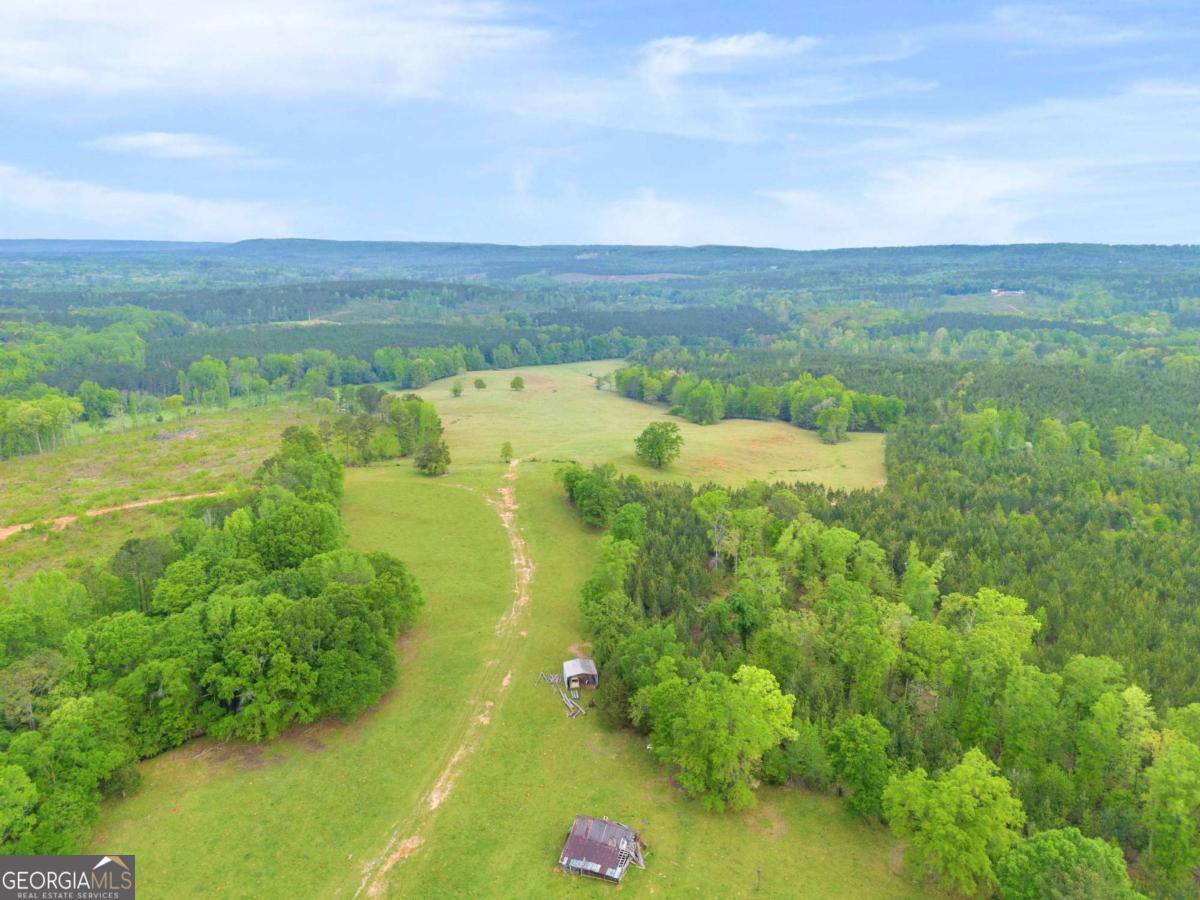 2450 Chestnut Grove Road Shiloh GA 31826