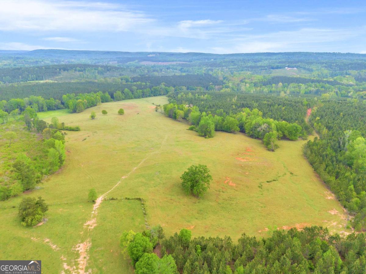 2450 Chestnut Grove Road Shiloh GA 31826