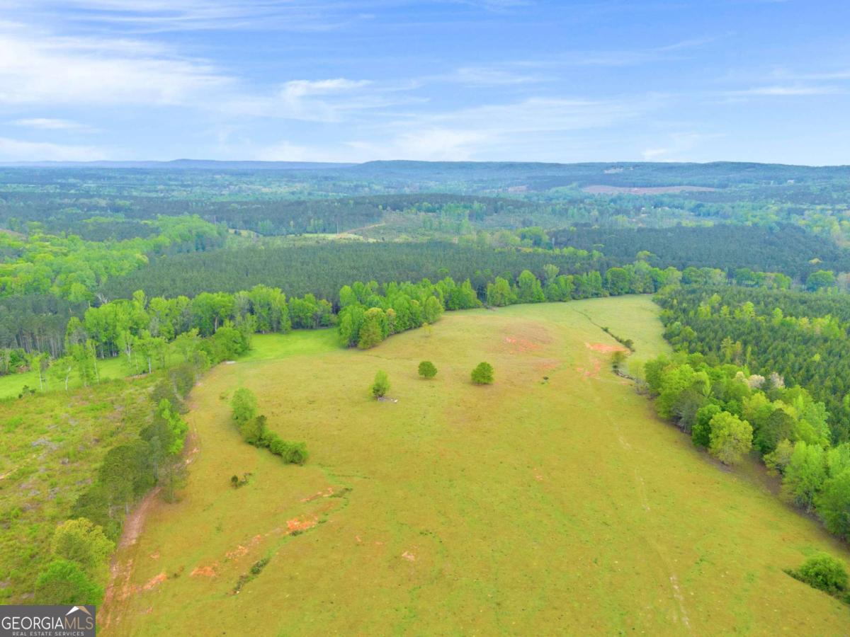 2450 Chestnut Grove Road Shiloh GA 31826