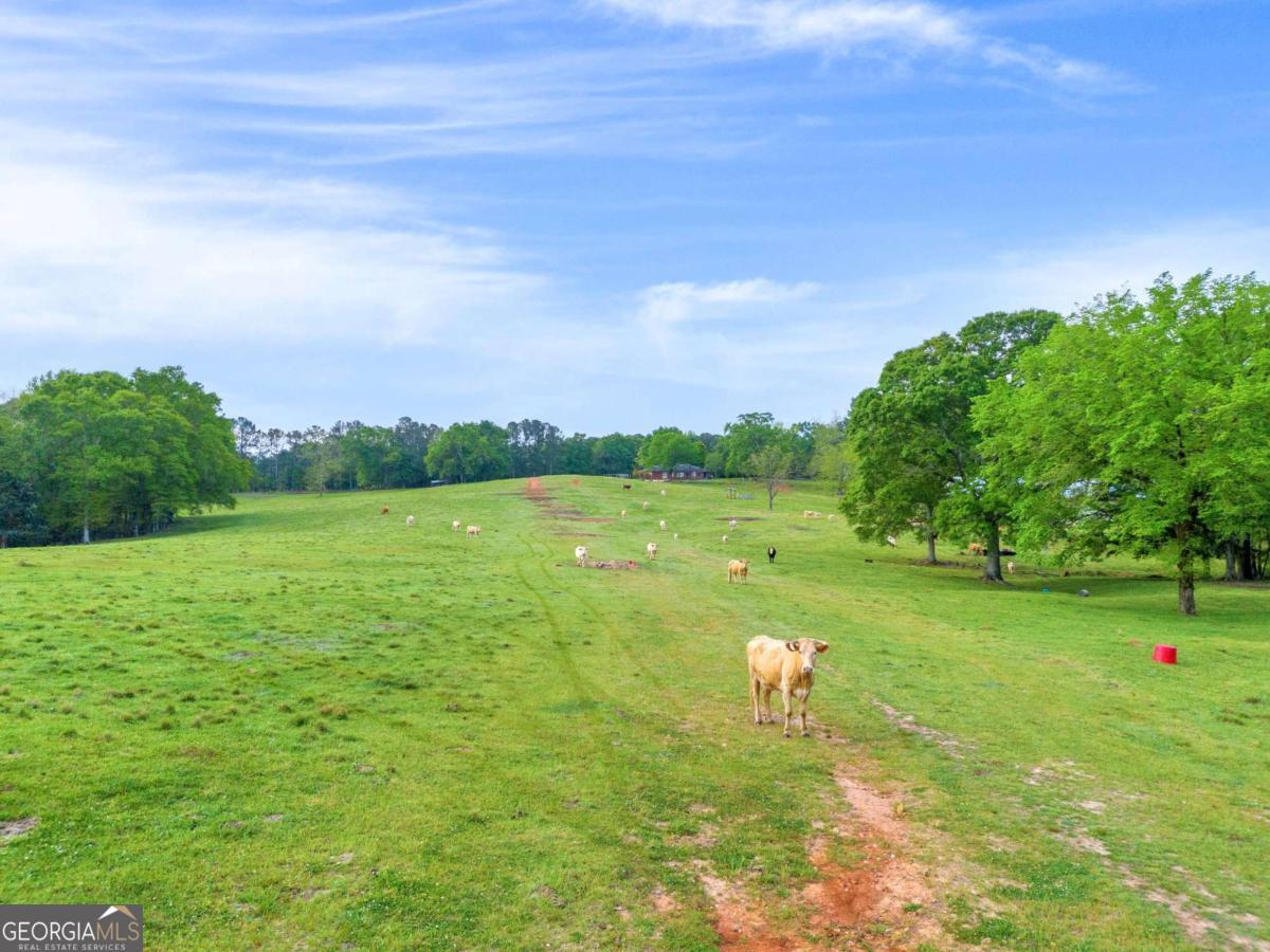 2450 Chestnut Grove Road Shiloh GA 31826