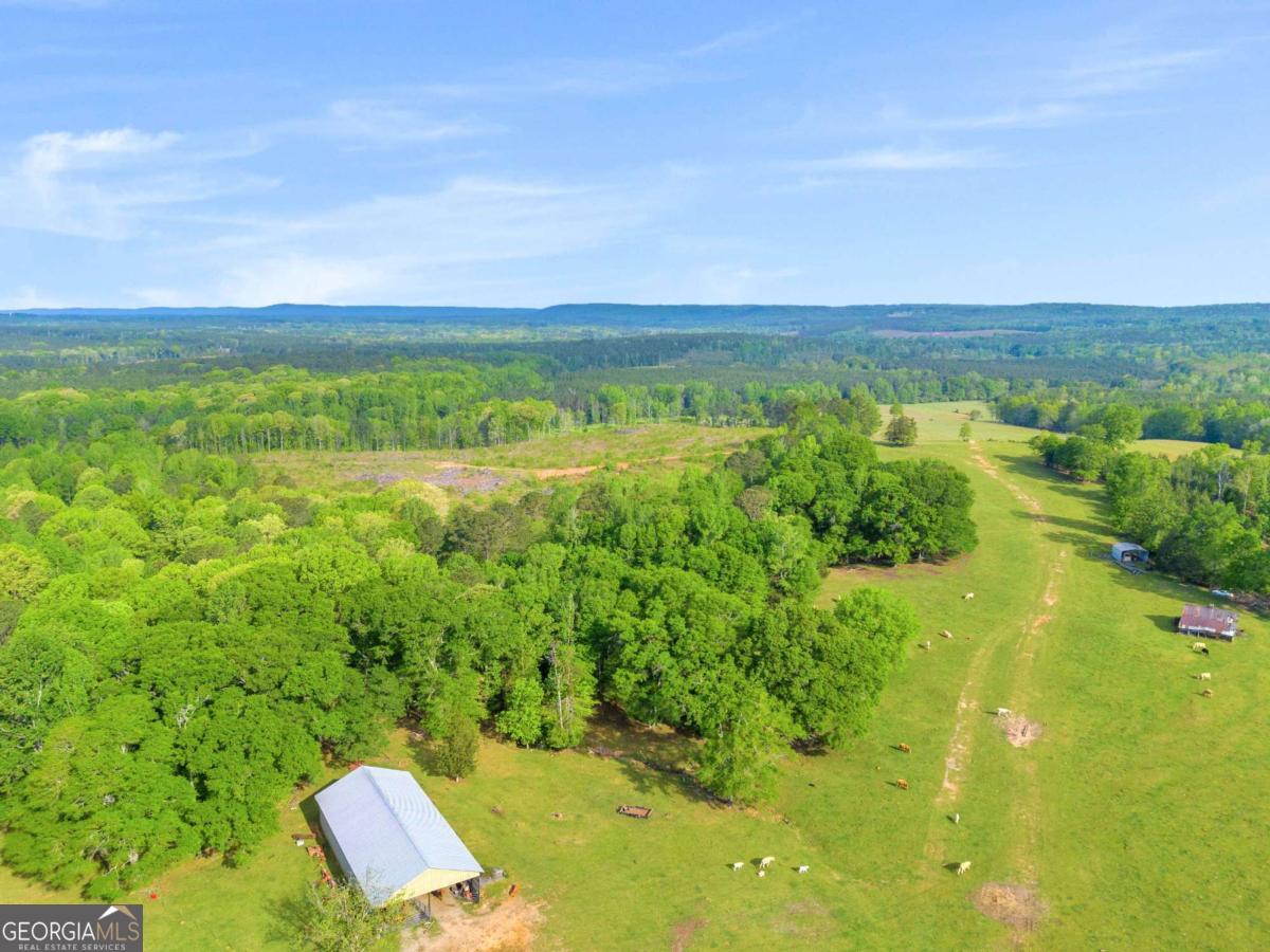 2450 Chestnut Grove Road Shiloh GA 31826