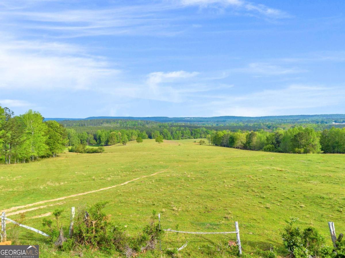 2450 Chestnut Grove Road Shiloh GA 31826