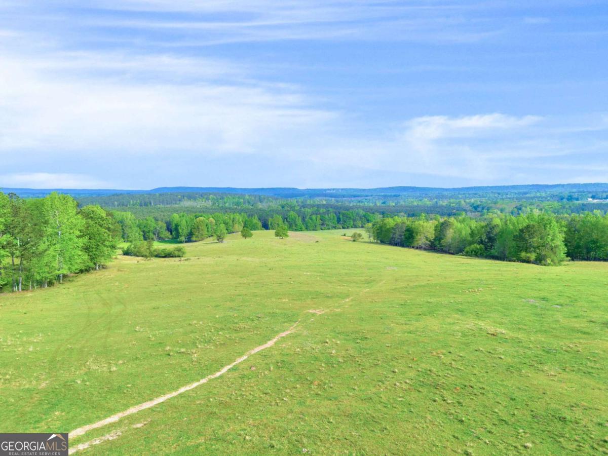 2450 Chestnut Grove Road Shiloh GA 31826