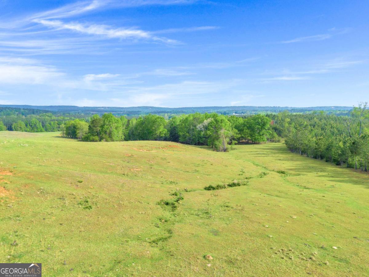 2450 Chestnut Grove Road Shiloh GA 31826