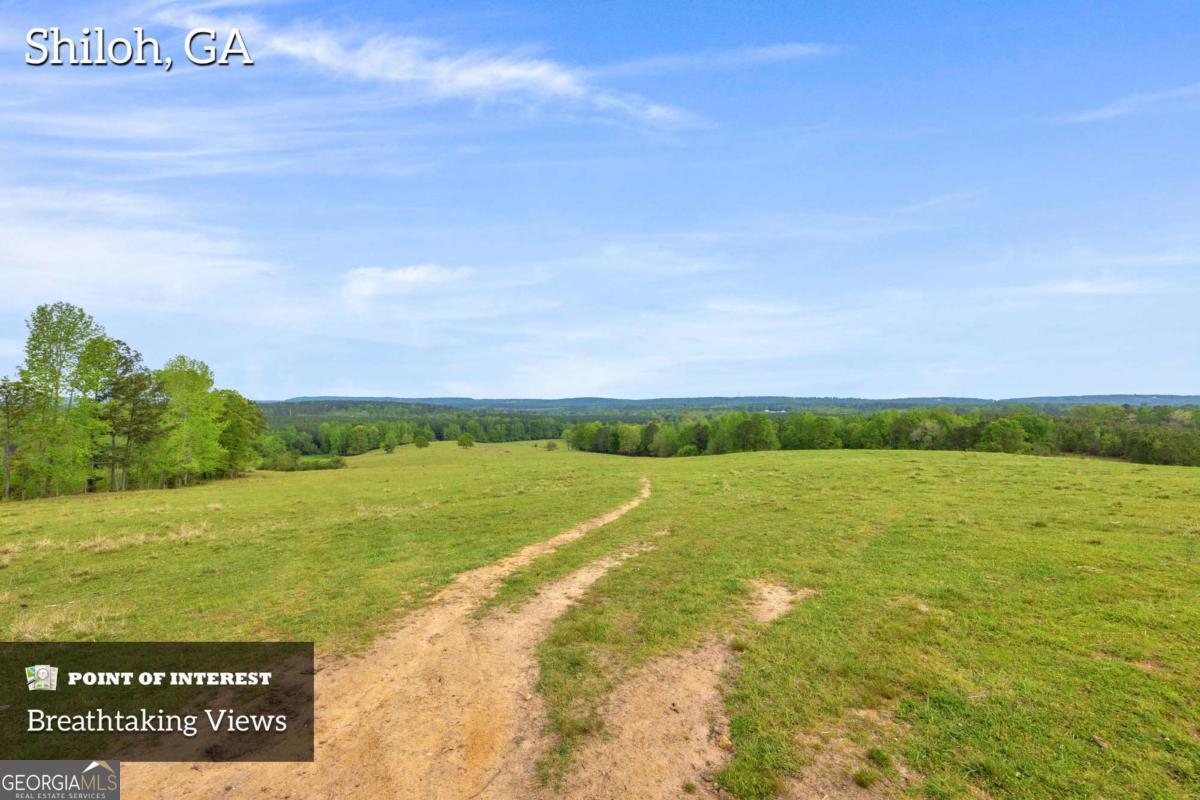 2450 Chestnut Grove Road Shiloh GA 31826
