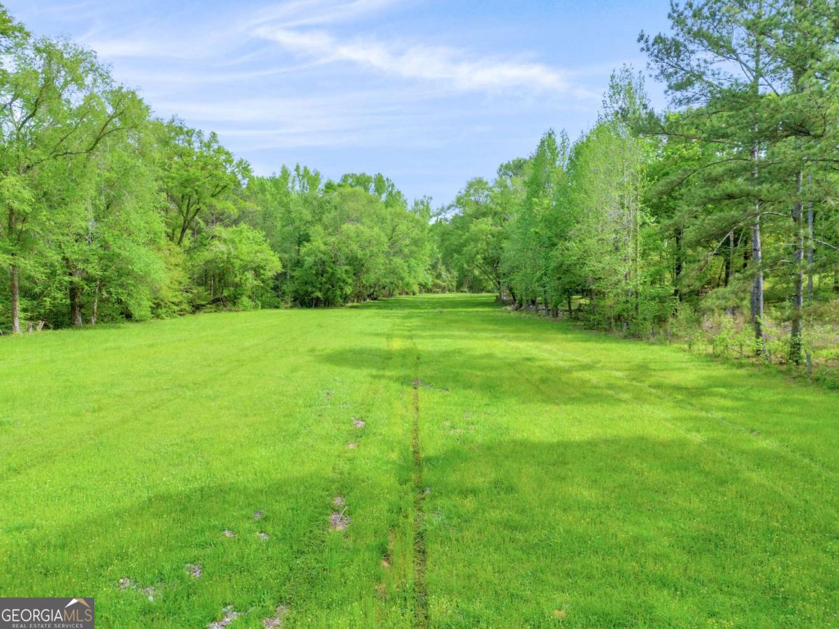 2450 Chestnut Grove Road Shiloh GA 31826