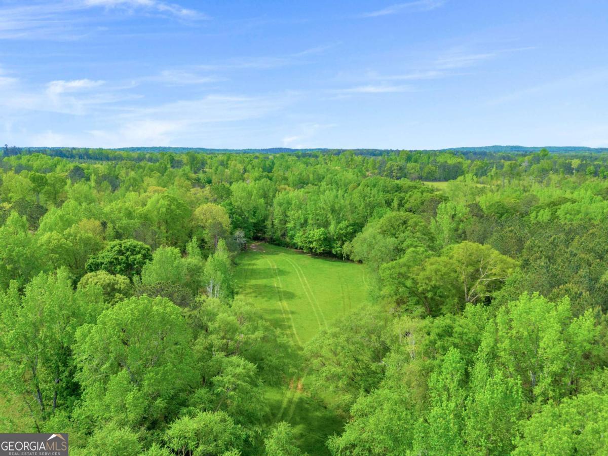 2450 Chestnut Grove Road Shiloh GA 31826